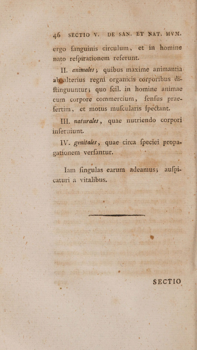 ergo fanguinis circulum, et in homine nato refpiràtionem referunt. ^ dL anünalet; quibus maxime animantia —- abgalterius regni orgairicis corporibus di- ftinguuntur; quo fcil. in homine animae cum corpore commercium, fenfus prae- fertim, et motus mufcularis fpectant. H tii. naturales ,. quae nutriendo corpori: inferaiunt. | IV. genitales, quae circa fpeciei propa. - gationem verfantur. . ^. Ad 4 j j - E | Iam fingulas earum adeamus;. aufpi-- caturi a vitalibus. SECTIO |,