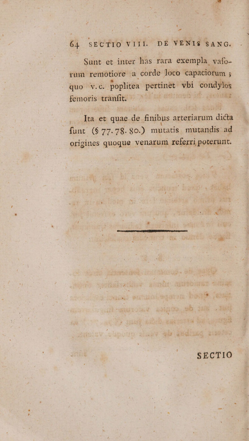 -— L] - 64 SECTIO VIII. DE VENIS SANG. Sunt et inter has rara exempla vafo- rum remotiore a corde loco capaciorum ; quo v.c. poplitea pertinet vbi condylos femoris Ar&amp;nflt? 1 35 L4 Hm rem am. QROTMNE . . lta et quae de finibus arteriarum dicta funt ($77.78. 80.) mutatis mutandis ad origines quoque venarum referri poterunt.