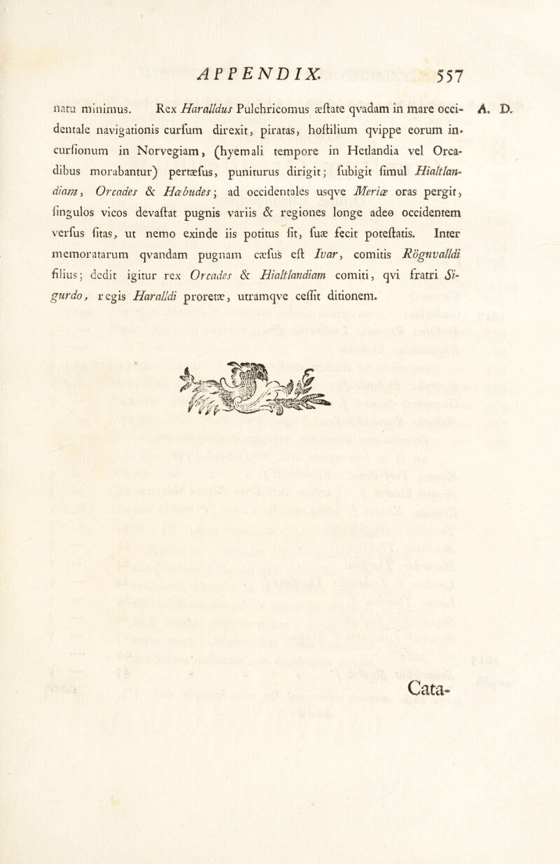 iiatii minimus. Rex Haralldus Pulchricomus reflate qvadam in mare occi« A. D. dentale navigationis curfum direxit, piratas, hoftilium qvippe eorum in» curfionum in Norvegiam, (hyemali tempore in Hetlandia vel Orca- dibus morabantur) pertaefus, puniturus dirigit; lubigit limul Hialttan- diam i Orcades Sc Habudes \ ad occidentales usqve Merice oras pergit. Ungulos vicos devaftat pugnis variis <Sc regiones longe adeo occidentem veiTus fitas, ut nemo exinde iis potitus fit, fuae fecit poteftatis. Inter memoratarum qvandam pugnam caelus efi: IvaVy comitis RdgnvaUdi filius; dedit igitur rex Orcades & Hialtlandiam comiti, qvi fratri Si- gurdof regis Haralldi proretae, utramqve cefiit ditionem. Cata-