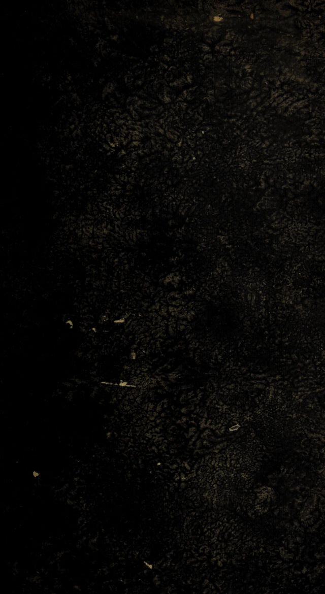 digitised image 1
