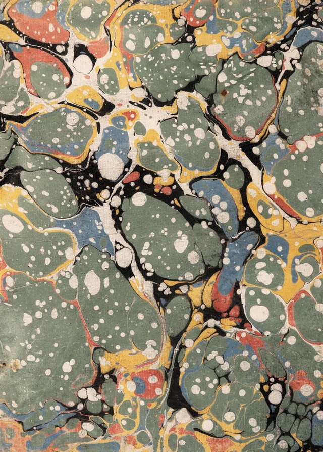 No text description is available for this image