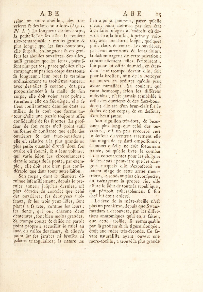 reine ou mère abeille , des ou- vrières & des faux-bourdons. {Fig. /, PL L ) La longueur de fon corps, la petitefFe de fes aîles la rendent très-remarquable : moins grod'e & plus longue que les faux-bourdons, elle furpade en longueur & en grof- feur les abeilles ouvrières. Ses ailes,, aulli grandes que les leurs , paroif- fentpîus petites, parce qu’elles n’ac- compagnent pas fon corps dans toute fa longueur ; leur bout fe termine ordinairement au troidème anneau : avec des ailes fi courtes , & fi peu proportionnées a la mafFe de Fon corps, elle doit voler avec peine ; rarement elle en fait ufage, elle fe tient condamment dans fes états au milieu de la cour que forme au- tour d’elle une partie toujours afFez confidérablé de fes fujettes. La grof- feur de fon corps n’ed point aulli uniforme & confiante que celle des ouvrières & des faux-bourdons : elle efi relative à la plus grande ou plus petite quantité d'œufs dont fon ovaire efi fourni, & à leur volume, qui varie félon les circonfrances : dans le temps de la ponte, par exem- ple , elle doit être bien plus confi- dérable que dans toute autre faifon. Son corps , dont le diamètre di- minue infenfiblement, depuis le pre- mier anneau jufqu’au dernier, efi plus détaché du corcelet que celui des ouvrières ; fes deux yeux à ré- féaux, & les trois yeux lides, font placés a fa tête, comme les leurs; les dents, qui ont chacune deux dentelures , font bien moins grandes. Sa trompe courte & déliée ne paroît point propre à recueillir le miel au fond du calice des fleurs, & elle n’a point fur fes jambes ni brofFes ni palettes triangulaires ; la nature ne Fen a point pourvue, parce qu’elle n’étoit point defünée par fon état à en faire ufage : à l’endroit oii de- vroit être la brofFe, à peine y voit- on, avec une forte loupe , quelques poils clairs & courts. Les ouvrières, par leurs attentions 6c leurs foins, la dédommagent de cette privation : continuellement elles l’entourent , foit pour lui offrir du miel, en éten- dant leur trompe devant elle, foit pour la broder , afin de la nettoyer de toutes les ordures qu’elle peut avoir ramafFées. Sa couleur, qui varie beaucoup, félon les difFerens individus, n’ed jamais femblabîe à celle des ouvrières & des faux-bour- dons ; elle ed d’un brun-clair fur le dedus de fon corps, & en dedbus, d’un beau jaune. Son aiguillon très-fort, & beau- coup plus long que celui des ou- viieres, ed un peu recourbé vers le dedbus du ventre ; rarement elle fait ufage de ce dard empoifonné , à moins qu’elle ne foit fortement irritée, ou qu’elle livre le combat a des concurrentes pour les éloigner de les états : peut-être que les dan- gers auxquels elle s’expoferoit en faifant ufage de cette arme meur- trière , la rendent plus circonfpeéle ; en ménageant fa propre vie, elle adure le falut de toute la république , qui périrait miférablement fi fon chef lui étoit enlevé. Le fexe de la mère-abeille n’eft plus un problème, depuis que Svam- merdam a découvert, par les direc- tions anatomiques qu’il en a faites, que cette abeille, fi remarquable par fa grofFeur & fa figure alongée , étoit une mère très-féconde. Ce fa- vant naturalifte ayant ouvert une mère-abeille, a trouvé la plus grand©