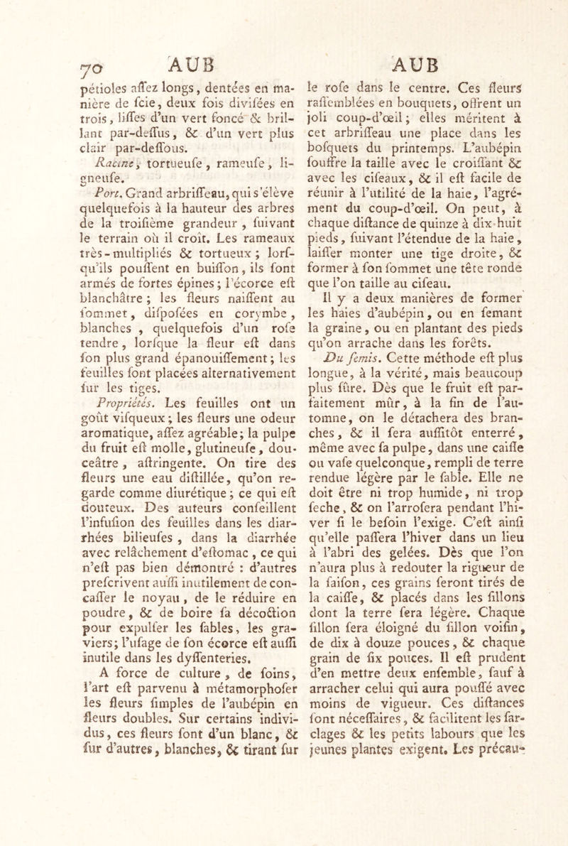 y O AU B pétioles affez longs, dentées en ma- nière de fcie, deux fois divifées en trois, lides d’un vert foncé'bril- lant par-deiTus, & d’un vert plus clair par-deffoiis. Racine y tortueufe , rameufe, li- gneufe. Fort, Grand arbriffeau, qui s’élève quelquefois à la hauteur des arbres de la troifième grandeur , fuivant le terrain où il croît. Les rameaux très-multipliés & tortueux; lorf- qifils pouffent en buiffon, ils font armés de fortes épines ; Pécorce eff blanchâtre ; les fleurs naiffent au fommet, difpofées en corymbe , blanches , quelquefois d’un rofe tendre, lorfqiie la fleur eff dans fon plus grand épanouiffement ; les feuilles font placées alternativement fur les tiges. Propriétés. Les feuilles ont un goût vifqueux ; les fleurs une odeur aromatique, affez agréable; la pulpe du fruit eff molle, glutineufe, dou- ceâtre , affringente. On tire des fleurs une eau diffillée, qu’on re- garde comme diurétique ; ce qui eff douteux. Des auteurs confeillent i’infuffon des feuilles dans les diar- rhées bilieufes , dans la diarrhée avec relâchement d’effomac , ce qui n’eff pas bien démontré : d’autres preferivent auffi inutilement de con- caffer le noyau , de le réduire en poudre, & de boire fa décoéllon pour expulfer les fables, les gra- viers; l’ufage de fon écorce eff auffi inutile dans les dyffenteries, A force de culture ^ de foins, l’art eff parvenu à métamorphofer les fleurs fimples de l’aiibépin en fleurs doubles. Sur certains indivi- dus , ces fleurs font d’un blanc, ôc fur d’autres i blanches^ & tirant fur AUB le rofe dans le centre. Ces fleurâ rafférnblées en bouquets, offrent un joli coup-d’œil ; elles méritent à cet arbriffeau une place dans les bofqueîs du printemps. L’aiibépin fouffre la taille avec le croiii'ant & avec les cifeaux, & il eff facile de réunir à l’utilité de la haie, l’agré- ment du coup-d’œil. On peut, à chaque diffance de quinze à dix'huit pieds, fuivant l’étendue de la haie, laiffer monter une tige droite, ôc former à fon fommet une tête ronde que l’on taille au cifeaii. il y a deux manières de former les haies d’aubépin, ou en femant la graine, ou en plantant des pieds qu’on arrache dans les forêts. Du femîs. Cette méthode eff plus longue, à la vérité, mais beaucoup plus fùre. Dès que le fruit eff par- faitement mûr, à la fin de l’au- tomne, on le détachera des bran- ches , & il fera auffitôt enterré, même avec fa pulpe, dans une caiffe ou vafe quelconque, rempli de terre rendue légère par le fable. Elle ne doit être ni trop humide, ni trop feche, & on l’arrofera pendant l’hi- ver ff le befoin l’exige. C’eff ainû qu’elle paffera l’hiver dans un lieu à l’abri des gelées. Dès que l’on n’aura plus à redouter la rigueur de la faifon, ces grains feront tirés de la caiffe, & placés dans les filions dont la terre fera légère. Chaque fillon fera éloigné du fillon voifin, de dix à douze pouces, & chaque grain de ffx pouces. Il eff prudent d’en mettre deux enfemble, fauf à arracher celui qui aura pouffé avec moins de vigueur. Ces diffances font néceffaires, & facilitent les far- clages êc les petits labours que les jeunes plantes exigent. Les précau-