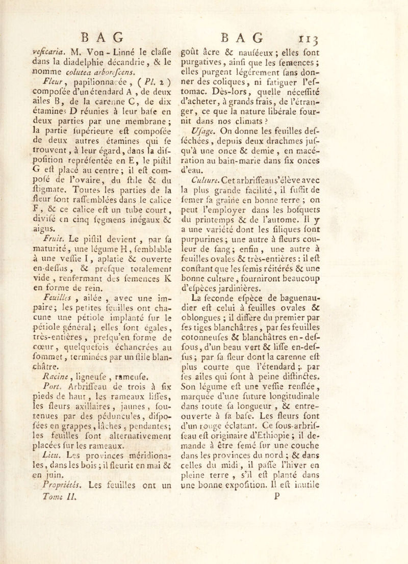 veficaria, M. Von -Linné îe claffe dans la diadelphie décandrie, 6c le nomme colutca arbon'fccns. Fleur, papilionnacée , PL i ) compofée d’un étendard A , de deux ailes B, de la carenne C, de dix étamines D réunies à leur baie en deux parties par une membrane ; la partie fupérieure eft compofée de deux autres étamines qui fe trouvent, à leur égard, dans la dif- poiition repréfentée en E, le pidil G eil placé au centre ; il ed com- pofé de l’ovaire, du dile & du fligmate. Toutes les parties de la fleur font raiTemblées dans le calice E, & ce calice eil un tube court, divifé en cinq fçgmens inégaux &c aigus. Fruit, Le piilil devient , par fa maturité, une légume H , femblable à une veille I, aplatie ëc ouverte en-deifus, prefque totalement vide , renfermant des femences K en forme de rein. Feuilles , ailée , avec une im- paire; les petites fer.illes ont cha- cune une pétiole implanté fur le pétiole général ; elles font égales, très-entières , prelqu’en forme de cœur, quelquefois échancrées au fommeî, terminées par un ÜÜe blan- châtre. Racine, ligneufe , rameufe. Port, ArbriiTeau de trois à fix pieds de haut, les rameaux lilFes, les fleurs axillaires , jaunes , fou- tenues par des péduncules, difpo- fées en grappes , lâches ^ pendantes; les feuilles font alternativement placées fur les rameaux. Lieu, Les provinces méridiona- les , dans les bois ; il fleurit en mai ôc en juin. Propriétés, Les feuilles ont un goût âcre ôc nauféeux ; elles font purgatives, ainfi que les femences; elles purgent légèrement fans don- ner des coliques, ni fatiguer l’ef- tomac. Dès-lors, quelle nécefîité d’acheter, à grands frais, de l’étran- ger , ce que la nature libérale four- nit dans nos climats ? Ufage, On donne les feuilles def- féchées , depuis deux drachmes juf- qu’à une once demie , en macé- ration au bain-marie dans fix onces d’eau. Culture, Cet arbriffeaus’élève avec la plus grande facilité , il fufht de femer fa graine en bonne terre ; 011 peut l’employer dans les bofquets du printemps & de Tautome. Il y a une variété dont les filiques font purpurines ; une autre à fleurs cou- leur de fang ; enfin , une autre à feuilles ovales & très-entières : il efl confiant que les femis réitérés & une bonne culture , fourniront beaucoup d’efpèces jardinières. La fécondé efpèce de baguenau- dier efl celui à feuilles ovales & oblongues ; il diffère du premier par fes liges blanchâtres, par fes feuilles cotonneufes blanchâtres en-def- fous, d’un beau vert & liffe en-def- fus ; par fa fleur dont la carenne efl plus courte que l’étendard par fes ailes qui font à peine diflinèles. Son légume efl une veffie renflée, marquée d’une future longitudinale dans toute fa longueur , & entre- ouverte à fa bafe. Les fleurs font d’un ro\ig€ éclatant. Ce fous-arbrif- feau efl originaire d’Ethiopie ; il de- mande à être femé fur une couche dans les provinces du nord ; & dans celles du midi, il pafie l’hiver en pleine terre , s’il efl planté dans une bonne expofition, 11 efl inutile