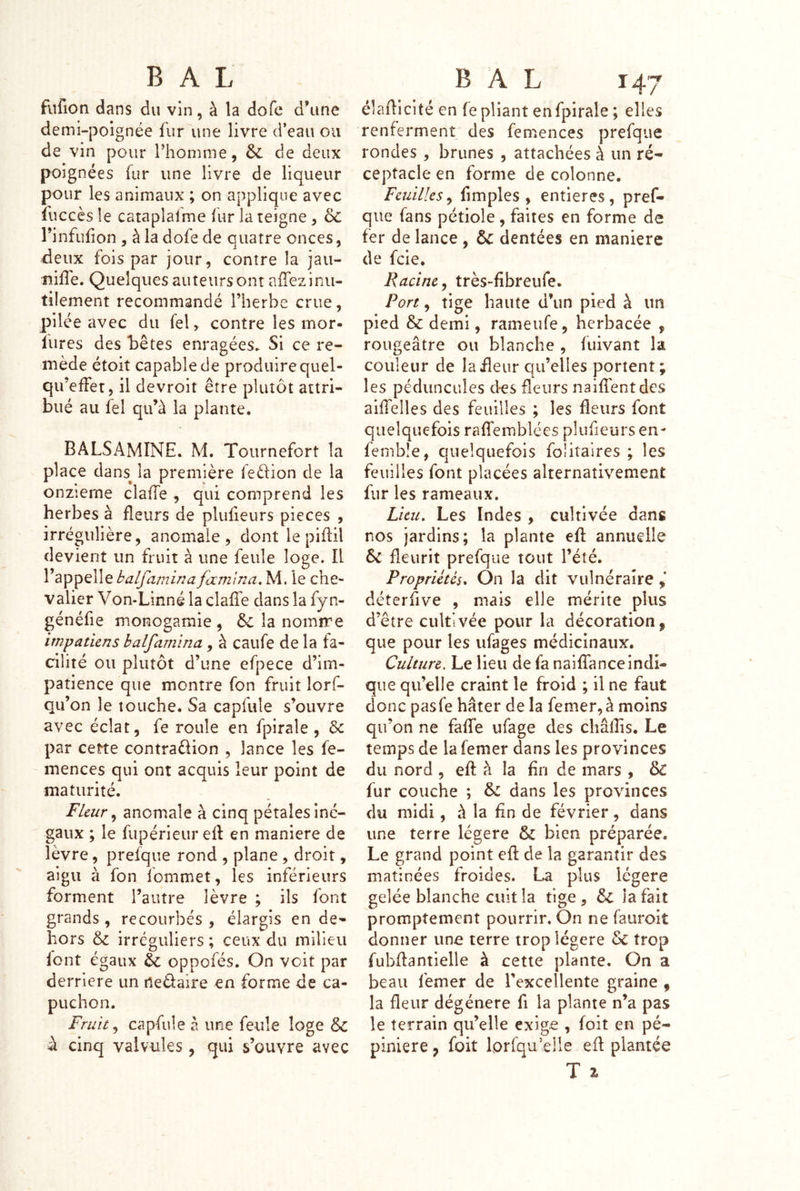 fufion dans du vin, à la dofe d’une demi-poignée fur une livre d’eau ou de vin pour l’homme, de deux poignées fur une livre de liqueur pour les animaux ; on applique avec fuccès le cataplafme fur la teigne, & rinfufîon , à la dofe de quatre onces, deux fois par jour, contre la jaii- îiiffe. Quelques auteurs ont affez inu- tilement recommandé l’herbe crue, pilée avec du fel, contre les mor- fures des bêtes enragées. Si ce re- mède étoit capable de produire quel- qu’effet, il devroit être plutôt attri- bué au fel qu’à la plante. BALSAMINE. M. Tournefort la place dans^ la première leûion de la onzième clalTe , qui comprend les herbes à fleurs de plufieurs pièces , irrégulière, anomale, dont le piflil devient un fruit à une feule loge. Il l’appelle balfamina fammaM. le che- valier Von-Linné la clafie dans la fyn- généfie monogamie , &; la nomire impatiens balfamina, à caufe de la fa- cilité ou plutôt d’une efpece d’im- patience que montre fon fruit lorf- qu’on le touche. Sa capfule s’ouvre avec éclat, fe roule en fpirale , & par cette contraélion , lance les fe- mences qui ont acquis leur point de maturité. Fleur ^ anomale à cinq pétales iné- gaux ; le fupérieur eil en maniéré de lèvre, prefque rond , plane , droit, aigu à fon fommet, les inférieurs forment l’autre lèvre ; ils font grands, recourbés , élargis en de- hors & irréguliers ; ceux du milieu font égaux & oppofés. On voit par derrière un nedaire en forme de ca- puchon. Fruit, capfule à une feule loge & â cinq valvules , qui s’ouvre avec élaflicité en fe pliant en fpirale ; elles renferment des femences prefque rondes , brunes , attachées à un ré- ceptacle en forme de colonne. Feuilles^ fimples , entières, pref- que fans pétiole, faites en forme de fer de lance , Ôc dentées en maniéré de feie. Racine, très-fibreufe. Port, tige haute d’un pied à im pied & demi, rameufe, herbacée , rougeâtre ou blanche , fuivant la couleur de la fleur qu’elles portent ; les péduncules des fleurs naiffentdcs ailfelles des feuilles ; les fleurs font quelquefois raffemblées plufieurs en- femble, quelquefois foütaires ; les feuilles font placées alternativement fur les rameaux. Lieu. Les Indes , cultivée dans nos jardins; la plante efi: annuelle 6c fleurit prefque tout l’été. Propriétés* On la dit vulnéraire déterfive , mais elle mérite plus d’être cultivée pour la décoration, que pour les ufages médicinaux. Culture, Le lieu de fa naiffanceindi- que qu’elle craint le froid ; il ne faut donc pasfe hâter de la femer,à moins qu’on ne faffe ufage des châlîis. Le temps de la femer dans les provinces du nord , eft à la En de mars , & fur couche ; 6c dans les provinces du midi, à la fin de février, dans une terre légère 6c bien préparée. Le grand point cfl de la garantir des matinées froides. La plus légère gelée blanche cuit la tige, 6c la fait promptement pourrir. On ne fauroit donner une terre trop légère 6c trop fubflantielle à cette plante. On a beau femer de Texcellente graine , la fleur dégénéré fi la plante n’a pas le terrain qu’elle exige , foit en pé- pinière, foit lorfqu’elle efl plantée