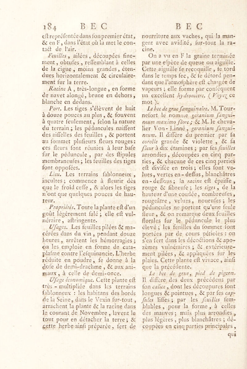 î84 bec eiî repréfcntce dans fon premier état^ & en F, clans l’état où la met le con- taél de l’air. Feuilles , ailées , découpées fine- ment 5 obtufes , refi'emblant à celles de la ciguë , moins grandes > éten- dues horizontalement 6c circulaire- ment fur la terre. Racine A , très-longue , en forme de navet alongé, brune en dehors, blanche en dedans. Port, Les tiges s’élèvent de huit à douze pouces au plus, fouvent à quatre feulement, félon la nature du terrain ; les pédimcules naiffent des aiffelles des feuilles , & portent au fornmet plufieurs fleurs rouges : ces fleurs font réunies à leur bafe fur le pédiincule , par des ftipules membraneufes ; les feuilles des tiges font oppofées. Lieu, Les terrains fablcnneux , incultes ; commence à fleurir dès que le froid ceffe , & alors les tiges n’ont c[ue quelc[ues pouces de hau- teur. Prop rikes. Toute la plante efl: d’un goût légèrement falé ; elle efl vul- néraire , aftringente. Ufages, Les feuilles pilées ma- cérées clans du vin , pendant douze heures , arrêtent les hémorragies ; on les emploie en forme de caîa- plafme contre i’efquinancie. LTerbe réduite en poudre, fe donne à la dofe de demi“dracbme , aux ani- maux , à celle de demi-once. UJhge économique. Cette plante efl très - multipliée dans les terrains fablcnneux : les babitans des bords de la Seine, dans le Vexin fur-tout , arrachent la plante & la racine clans le courant de Novembre , lavent le tout pour en détacher la terre ; & herbe ainfi préparée, ferr de BEC nourriture aux vaches, qui îa man- gent avec avidité3 fur-tout la ra- cine. On a vu en F la graine terminée par une efpèce de queue ou aiguille. Cette aiguille fe recoquille , le tord dans le temps fec, & fe détord pen- dant que raîmofphère efl chargée de vapeurs ; elle forme par conféquent un excellent hydtonictrc, ( Foye^ ce mot ). ' Le bec de grue fangiiinalre, M. Tour- nefort le nom nie géranium fangui- neum maxiino flore ; 6c M. le cheva- lier Von - Linné , géranium fanguF neum. Il dilTère du premier par fa corolle grande & violette , & fa fleur à dix étamines ; par fes feuilles arrondies, découpées en cinq par- ties, & chacune de ces cinq parties efl ciivifée en trois ; elles font ve- lues , vertes en - deffus, blanchâtres en - deflous ; la racine efl épaiffe , rouge & fibre Life ; les tiges , de la hauteur d’une coudée, nombre al es, rougeâtre , velues, noueufes ; les pédunciiles ne portent qu’une feule fleur , & on remarque deux feuilles florales fur le péduncule le plus élevé ; les feuilles du iommer lont portées par de cours pétioles : on s’en fert dans les décociions & apo- zèmes vulnéraires ; Sc extérieure- ment pilées , & appliquées fur les plaies. Cette plante efl vivace , ainfl que la précédente. Le hcc de ^rue ^ pied de pigeon^ Il cliiîcre des deux précédé ns par fon calice, dont les découpures font longues & pointues, & par fes cap- fults liffes ; par les feuilles lem- blables , pour la forme , à celles des mauves ; mais plus arrondies , plus légères , plus blanchâtres ; dé- coupées en cinq parties principales , qui