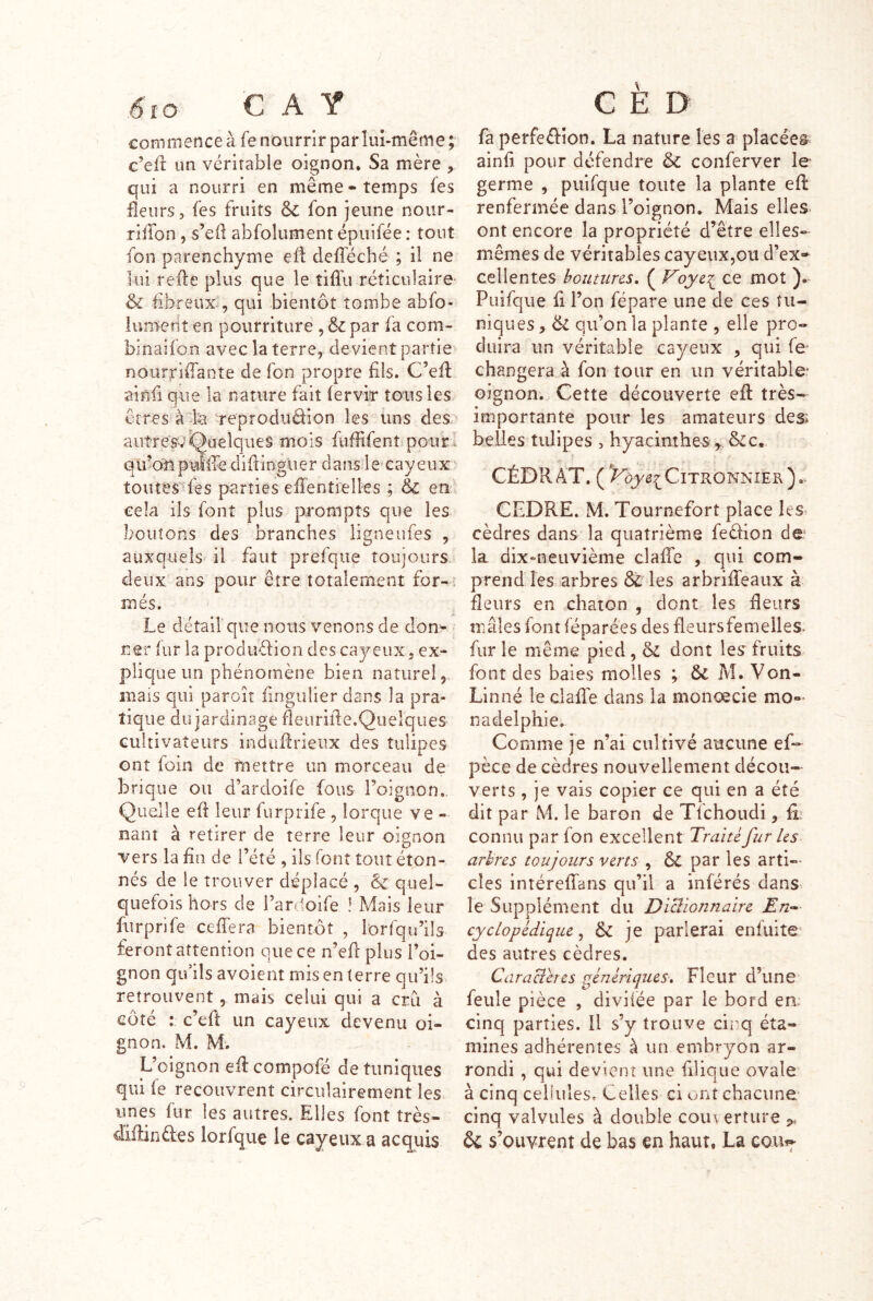 ,6- f O' C A Y commence à fe nourrir par luî-même ; c’efc un véritable oignon. Sa mère , qui a nourri en même - temps fes fleurs, fes fruits fon jeune nour- rilTon, s’eü abfolument épuifée : tout fon parenchyme efl defféché ; il ne lui refte plus que le îiflu réticulaire & fibreux^, qui bientôt tombe abfo- lument en pourriture, & par fa com- binaifon avec la terre, devientpartie nourriffante de fon propre fils. C’efi: ainfi que la nature fait (ervisr tous les, êtres reprodudion les uns desa aiitresv’Quelques mois fuffifent pour i qifOBpulire difîingiier dans le cayeux toutesfes parties efientielles ; & en'; cela ils font plus prompts que les boutons des branches lignetifes , auxquels il faut prefqiie toujours, deux ans pour être totalement for-. més. Le détail'que nous venons de don^ ner (ur la produélion des cayeux, ex- plique un phénomène bien naturel,, mais qui paroît fingulier dans la pra- tique du jardinage fleiirifie.Quelques cultivateurs indufirieux des tulipes ont foin de mettre un morceau de brique ou d’ardoife fous Foignon,. Quelle efi leur furprife , lorque ve- nant à retirer de terre leur oignon vers la fin de l’été , ils font tout éton- nés de le trouver déplacé , & quel- quefois hors de l’ar ^oife ! Mais leur furprife ceffera bientôt , lorfqu’ils feront attention que ce n’efi plus l’oi- gnon qu’ils avoient mis en terre qu’ils retrouvent, mais celui qui a cru à côté : c’efi un cayeux devenu oi- gnon. M. M. L’oignon efi: compofé de tuniques qui fe recouvrent circulairement les unes fur les autres. Elles font très- difiindes lorfque le cayeux a acquis C È D fa perfeéiion. La nature les 3 placées ainfi pour défendre & conferver le germe , puifque toute la plante efi renfermée dans l’oignon. Mais elles ont encore la propriété d’être elles- mêmes de véritables cayeux,ou d’ex* ce lien tes h ou tu res. ( Voye:^ ce mot ). Puifque fi l’on fépare une de ces tu- niques , & qu’on la plante , elle pro- duira un véritable cayeux , qui fe changera à fon tour en un véritable oignon. Cette découverte efi très- importante pour les amateurs desi belles tulipes , hyacinthes^,&c, CÉDR AT. ( Citronnier ). CEDRE. M. Tournefort place Ies> cèdres dans la quatrième feéfion de la dix-neuvième claffe , qui com- prend: lesarbres & les arbriiTeaux à; fleurs en chaton , dont les fleurs mâles font féparées des fleursfemelles^ fur le même pied , & dont les fruits font des baies molles ; & Von- Linné le clafle dans la monœcie mo- nadelphle. Comme je n’ai cultivé aucune ef- pèce de cèdres nouvellement décou- verts , je vais copier ce qui en a été dit par M. le baron de Tfchoudi, fi connu par fon excellent Traité fur les arbres toujours verts , ÔC par les arti- cles intérefians qu’il a inférés dans le Supplément du Dictionnaire En-^' cycLopédique, & je parlerai enfuite des autres cèdres. Caracîhes p^énériques\ Fleur d’une feule pièce , divilée par le bord ea cinq parties. Il s’y trouve cinq éta- mines adhérentes à un embryon ar- rondi , qui devient une filique ovale à cinq cellules. Celles ci ont chacune- cinq valvules à double couverture 9, & s’ouvrent de bas en haut, La cout^