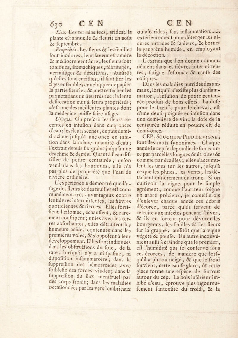 Lieu. Les terrains lecs, arides; lâ' plante ed annuelle & fleurit en août 6i leptembre. Propriétés. Les fleurs & les feuilles font inodores, leur faveur eft amère & médiocrement âcre, les fleurs font toniques, flomachiqires, fébrifuges, vermifuges & déterfives. Aufïitôt il/ qu’elles lont cueillies, il faut lier les tiges enfemble ; envelopper de papier la partie fleurie, & mettre fécher les paquets dans un lieu très fec : la lente deflîccation nuit à leurs propriétés ; c’efl une des meilleures plantes dont la médecine piiifTe faire ufage. Ufagcs, On prefcrit les fleurs ré- centes en infufion dans cinq onces d’eau ; les fleurs sèches, depuis demi- drachme jufqu’à une once en infu- lion dans la même quantité d’eau ; l’extrait depuis flx grains jufqu’à une drachme & demie. Quant à l’eau dif- tillée de petite centaurée , qu’on vend dans les boutiques, elle n’a pas plus de propriété que l’eau de rivière ordinaire. L’expérience a démontré qiit l’ii- fage des fleurs & des feuilles eft com- munément très - avantageux contre les fièvres intermittentes , les fièvres quotidiennes & tierces. Elles forti- fient leflomac, échauffent, & rare- ment conflipent ; unies avec les ter- res abforbanîes, elles détruifent les humeurs acides cqntenues dans les premières voies, & s’oppofent à leur développement. Elles font indiquées dans les obffriiéfions du foie, de la rate, lorfqu’il n’y a nifpafme, ni difpofition inflammatoire ; dans la fupprefllon des hémorroïdes avec fbibieffe des forces vitales; dans la iuppreflion du flux menflruel par des corps froids ; dans les maladies occaiicnnces par les vers lombriçaux OU afearides, fans inflammation......• extérieurement pour déterger les ul- cères putrides & fanieux, &: borner la gangrène humide , en employant la décoéfion. L’extrait que l’on donne commu- nément dans les fièvres intermitten- tes , fatigue reflomac & caufe des coliques. Dans les maladies putrides des ani- maux , lorfqu’il n’exiffe plus d’inflam- mation , l’infuflon de petite centau- rée produit de bons effets. La dofe pour le bœuf, pour le cheval, eif d’une demi-poignée en infufion dans une demi-livre de vin ; la dofe de la centaurée réduire en poudre eft de demi-once. CEP, Souche^?;/Pied de vigne , font des mots fynonimes. Chaque année le cep fe dépouille de fon écor- ce par parcelles longues & éîroitesSc comme par écailles ; elles s’accumu- lent les unes fur les autres, jufqu’à ce que les pluies, les vents, les dé- tachent entièrement du tronc. Si on cultivoit la vigne pour le fimple agrément, comme l’amateur foigne un arbre' précieux, je confeillerois d’enlever chaque année ces débris d’écorce, parce qu’ils fervent de retraite auxinfedles pendant l’hiver, & ils en fortent pour dévorer les bourgeons, les feuilles & les fleurs fur la grappe, auffitôt que la vigne végète & pouffe. Un autre inconvé- nient auffi à craindre que le premier, eft l’humidité qui fe conferve fous ces écorces, de manière que lorf- qu’il a plu ou neigé, & que le froid furvient, cette eau fe glace , & cette glace forme une efpèce de furtout autour du cep. Le bois inférieur im- bibé d’eau , éprouve plus rigoureu- fement l’intenfité du froid, & la