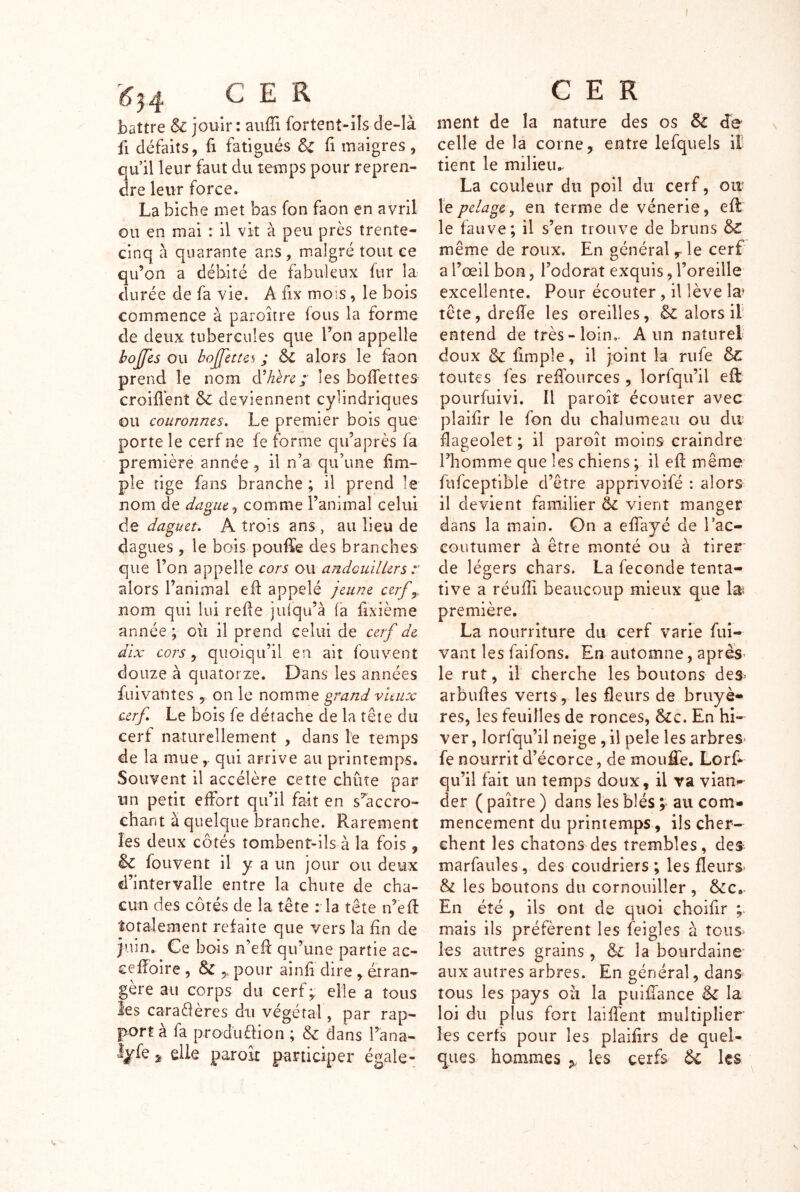 battre & jouir: auffi fortent-îîs de-là fl défaits, fl fatigués fi maigres , qifil leur faut du temps pour repren- dre leur force. La biche met bas fon faon en avril ou en mai : il vit à peu près trente- cinq à quarante ans, malgré tout ce qu’on a débité de fabuleux fur la durée de fa vie. A fix mois, le bois commence à paroître (ous la forme de deux tubercules que Ton appelle bojjcs ou bojj'etus ; 6l alors le faon prend le nom d^h'ère;' les bolTettes croifl’ent deviennent cylindriques ou couronnes. Le premier bois que porte le cerf ne fe forme qu’après fa première année, il n’a qu’une fim- ple tige fans branche ; il prend le nom de dague ^ comme l’animal celui dQ daguet, A trois ans , au lieu de dagues , le bois pouffe des branches que l’on appelle cors ou andouilLers r alors l’animal ed appelé jeune cerf y nom qui lui rede juiqu’à fa fixième année; oii il prend celui de cerf de dix cors ^ quoiqu’il en ait fouvent douze à quatorze. Dans les années fuivantes , on le nomme grand vuiix cerf. Le bois fe détache de la tête du cerf naturellement , dans le temps de la mue,, qui arrive au printemps. Souvent il accélère cette chute par un petit effort qu’il fait en s^’accro- chant à quelque branche. Rarement les deux côtés tombent-ils à la fois , Si fouvent il y a un jour ou deux d’intervalle entre la chute de cha- cun des côtés de la tête : la tête n’ed totalement reiaite que vers la dn de juin. Ce bois n’ed qu’une partie ac- ceffoire , & pour aind dire , étran- gère au corps du cerf;; elle a tous ies caraèlères du végétal, par rap- port à fa produèlion ; & dans l’ana- Ijfe s elle paroit participer égale- ment de la nature des os & de celle de la corne, entre lefquels il' tient le milieu.. La couleur du poil du cerf, oit le pelage^ en terme de vénerie, ed: le fauve; il s’en trouve de bruns &: même de roux. En général y le cerf a l’œil bon, l’odorat exquis, l’oreille excellente. Pour écouter, il lève la» tête, drede les oreilles, & alors il’ entend de très-loin. A un naturel doux & fimple, il joint la riife ÔC toutes fes reffources , lorfqu’il eft poiirfuivi. Il paroit écouter avec plaidr le fon du chalumeau ou dit flageolet; il paroit moins craindre l’homme que les chiens ; il ed même fufceptible d’être apprivoifé : alors il devient familier & vient manger dans la main. On a effayé de l’ac- couîumer à être monté ou à tirer de légers chars. La fécondé tenta- tive a réudi beaucoup mieux que la; première. La nourriture du cerf varie fui- vant les faifons. En automne, après- le rut, il cherche les boutons deS' arbudes verts, les fleurs de bruyè- res, les feuilles de ronces, &c. En hi- ver, lorfqu’il neige ,il pele les arbres- fe nourrit d’écorce, de mouffe. Lorff qu’il fait un temps doux, il va vian>- der ( paître ) dans les blés ; au com- mencement du printemps, ils cher- chent les chatons des trembles, des marfaules, des coudriers ; les fleurs & les boutons du cornouiller , &c. En été , ils ont de quoi choifir mais ils préfèrent les feigles à tous les autres grains , & la bourdaine aux autres arbres. En général, dans tous les pays oii la puiffance & la loi du plus fort laiffent multiplier les cerfs pour les plaifirs de quel- ques hommes ,, les cerfs ^ les