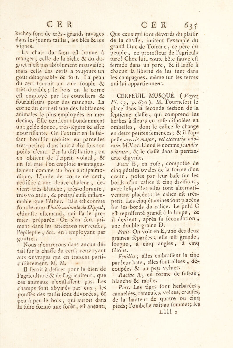 biches font de très-grands ravages dans les jeunes taillis, les blés 6c Içs vignes. 4w/ La chair du faon efl: bonne à manger; celle de la biche & du da- guet n’eil pas abfolument mauvaife ; mais celle des cerfs a toujours un goût défagréable 6c fort. La peau du cerf fournit un cuir fouple 6c très-durable ; le bois ou la corne efl: employé par les couteliers 6c fourbiiTeurs pour des manches. La corne du cerf efl une des fubflances animales le plus employées en mé- decine. Elle contient abondamment une gelée douce, très-légère 6c allez nourriffante. On Textrait en la fai- fant bouillir réduite en parcelles très-petites dans huit à dix fois fon poids d’eau. Par la difliliaîion , on en obtient de l’eiprit volatil, 6c un fel que Pon emploie avantageu- fement comme un bon antifpalmo- dique. L’huile de corne de cerf, rectinee à une douce chaleur , de- vient très blanche, très-odorante, très-volatile , & prefqu’aufîi inflam- mable que l'éther. Elle efl connue fous le nom hidlc animait dt Dippel^ chirmfle allemand, qui Pa le pre- mier préparée. On s’en fert iiri- ment dans les affeèlions nerveufes , Pépilepiie , 6lc* en l’employant par gouttes. Nous n’entrerons dans aucun dé- tail fur la chaffe du cerf, renvoyant aux ouvrages qui en traitent parti- culièrement. M. M. Il feroit à défirer pour le bien de ragricultiire 6c de l’agriculteur, que ces animaux n’exiflaffent pas. Les ohamps font abymés par eux , les pouffes des taillis font dévorées, 6c peu à peu le bois > qui auroit dans la fuite formé une forêt, efl anéanti. Que ceux qui font dévorés du plaidr de la chafïe , imitent l’exemple du grand Duc de Tofcane, ce père du peuple , ce proteèleur de l’agricul- ture! Chez lui, toute bête fauve efl fermée dans un parc, 6c il iaiflè à chacun la liberté de les tuer dans les campagnes, même fur les terres qui lui appartiennent. CERFEUIL MUSQUÉ. ( Foyei Fl. p. 6'^o). M. Tournefort le place dans la féconde feèlion de la feptieme claffe, qui comprend les herbes à fleurs en rofe difpofées en ombelles, dont le calice fe change en deux petites femences ; 6c il l’ap- pelle myrris major ^ vel cicutaria odo^ rata. M.Von-Linné le nomme fcandix odorata^ 6c le clalfe dans la pentan- drie digynie. Fkur B, en rofe, compofée de cinq pétales ovales de la forme d’un cœur , pofés par leur bafe fur les bords d’un calice à cinq divifions , avec iefquelles elles font alternati- vement placées : le calice efi très- petit. Les cinq étamines font placées fur les bords du calice. Le piflll C efl repréfenté grandi à la loupe , 6c il devient , après fa fécondation ^ une double graine D. Fruit. On voit en E, une des deux graines féparées ; elle eCl grande, longue , à cinq angles, à cinq filions. Feuilles; elles embraffeiit la tige par leur bafe, elles font ailees j de- coupées & un peu velues. Racine A, en forme de fufeau, blanche & molle. Port, Les tiges font herbacées , cannelées, rameufes, velues, credifes, de la hauteur de quatre ou cinq pieds; l’ombelle naît au fommet; les LUI 2,