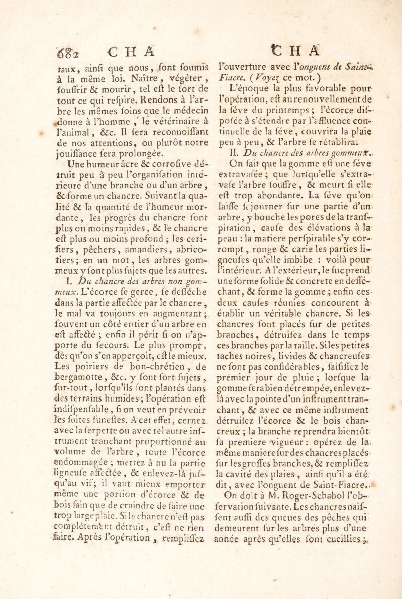 taux, ainfi que nous, font foiimis à la même loi. Naître , végéter , foufFrir & mourir, tel eft le lort de tout ce qui refpire. Rendons à l’ar- bre les mêmes foins que le médecin .donne à l’homme / le vétérinaire à l’animal, &c. Il fera reconnoiffant de nos attentions, ou plutôt notre jouiffance fera prolongée. Une humeur âcre & corrofive dé- truit peu à peu l’organifation inté- rieure d’une branche ou d’un arbre , forme un chancre. Suivant la qua- lité & la quantité de l’humeur mor- dante , les progrès du chancre font plus ou moins rapides, & le chancre eft plus ou moins profond ; les ceri- liers, pêchers, amandiers, abrico- tiers; en un mot, les arbres gom- meux y font plus fujets que les autres. I. I)u chancre des arbres non meux. L’écorce fe gerce, fe defléche dans la partie alFeélée par le chancre , le mal va toujours en augmentant ; fouvent un côté entier d’un arbre en efl affedé ; enfin il périt fi on n’ap- porte du fecours. Le plus prompt, dès qu’on s’en apperçoiî, cille mieux. Les poiriers de bon-chrétien , de bergamotîe, &c. y font fort fujets, fur-tout, lorfqu’ils font plantés dans des terrains humides ; l’opération efl indifpenfable, fi on veut en prévenir les fuites funeiles. A cet effet , cernez, avec la ferpette ou avec tel autre inf- triiment tranchant proportionné ait volume de l’arbre , toute l’écorce endommagée ; mettez à nu la partie Îigneiîfe aieèfée, & enlevez-là juf- qu’au vif; il vaut mieux emporter même une portion d’écorce &c de bois fain que de craindre de faire une trop large plaie. Si le chancre n’efi pas cqmplétenibnt détruit, c’efl ne rien faire. Après l’opération reœplilTez l’ouverture avec Vonguent de Sainte Fiacre, ( Voye^^ ce mot, ) L’époque la plus favorable pour l’opération, efl aurenouvellementde la fève du printemps ; l’écorce dif-^ pofée à s’étendre par l’affluence con- tinuelle de la fève, couvrira la plaie peu à peu, & l’arbre fe rétablira; IL Du chancre des arbres gornmeuX^. On fait que la gomme eft une fève extravafée ; que lorfqu’elle s’extra-- vafe l’arbre fouffre , & meurt fi elle' efl trop abondante. La fève qu’on îaiffe ftjourner fur une partie d’un^ arbre, y bouche les pores de la trans- piration , caufe des élévations à la' peau : la matière perfpirable s’y cor- rompt , ronge & carie les parties li- gneufes qu’elle imbibe : voilà pour l’intérieur. A l’extérieur, le fuc prend une forme foiide & concrète en deiTé- chant, & forme la gomme ; enfin ceS' deux caufes réunies concourent à établir un véritable chancre. Si les chancres font placés fur de petites, branches, détruifez dans le temps ces branches parla taille, Siles petites, taches noires, livides & chancreufes ne font pas confidérabies, faififfez le premier jour de pluie ; lorfqiie la gomme ferabien détrempée, enlevez- là avec la pointe d’un inürument tran- chant, & avec ce même infliumenî' détruifez l'écorce & le bois chan- creux ; la branche reprendra bientôt fa première vigueur : opérez de la* même maniéré fur des chancres placéS' fur lesgrcffes branches,6c remplifTez la cavité des plaies , ainfi qu’il a été'- dit, avec l’onguent de Saint-Fiacre.. On doit à M. Roger-Scbabol l’ob-- fervaiion fiiivante. Les chancres naif- fent aiîfîi des queues des pêches qui demeurent fur les arbres plus d’une année après qu’elles font cueillies