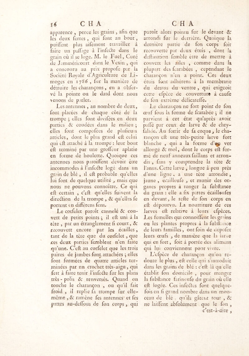 apparence , perce les grains, afin que les deux ferres , qui font au bout, puiffent plus aifément travailler à faire un paiTage à l’infecte dans le grain où il se loge. M. le Fuel, Curé de Jammériconrt dans le Yexin , qui a concouru au prix propofe par la Société Royale d’Agriculture de Li- moges en 178^, fur la manière de détruire les charançons , en a obser- vé la pointe ou le dard dont nous 'venons de parler. Les antennes , au nombre de deux, font placées de chaque coté de la trompe ; elles font divifées en deux parties St coudées dans le milieu ; elles font compofées de plufieuts articles, dont le plus grand eft celui qui eft attaché à la trompe : leur bout eft terminé par une groffeur aplatie en forme de houlette. Quoique ces antennes nous parodient devoir être incommodes à l’mfeéte logé dans un grain de blé , il eft probable qu’elles lui font de quelque utilité mais que nous ne pouvons connoître,. Ce qui eft certain , c’eft qu’elles fuivent la direélion de la trompe , St qu’elles fe portent en différais fens. Le corfelet paroit cannelé St cou- vert de petits points ; il eft uni à la tète , par un étranglement fi court, St recouvert encore par les écailles, tant de la tête que du corfelet , que oes deux parties femblent n’en faire qu’une. C’eft au corfelet que les trois paires de jambes font attachées ; elles font formées de quatre articles ter- minées par nn crochet très-aigu , qui fert à faire tenir Pinfeéfce fur les plans très - polis St renversés. Quand on touche le charançon , ou qu’il fait froid , il replie fi trompe fur elle- même , St ramène fes antennes* et fes pattes au-deffous de fon corps, qui paroit alors pointu fut le devant St arrondi fur le derrière. Quoique la dernière partie de fon corps foir recouverte par deux étuis , dont la deftmation femble être de mettre à couvert les ailes , comme dans la plupart des fcarabées , cependant le charançon 11’en a point. Ces deux étuis loue adhérais d la membrane du dessus du ventre , qui exigeok cette efpèce de couverture à caufe de fon extrême déheateffe. Le charançon ne fort point de fon œuf fous la forme de fearabée } il ne parvient a cet état qu’après avoir pafte par ceux de larve St de chry- falide. Au forrir de fa coquey le cha- rançon eft une très-petite larve fort blanche , qui a la forme d’#£i ver allonge St mol, dont le corps eft for- mé de neuf anneaux faillans et arron- dis , fans y comprendre la tête Sc l’anus. Cette larve , longue a peu près d’une ligne, a une tète arrondie, jaune , ecailleufe ,, et munie des or- ganes propres a ronger la fubftance du grain : elle a fix pattes écailleufes en devant, le refte de fon corps en .eft dépourvu. La nourriture de ces larves eft relative à leurs efpèces. JL.es femelles qui connoiffent les grains ou les plantes propres à la fubftance de leurs familles, ont foin de dëpofer leurs œufs de manière que la larve qui en fort, foit à portée des alimens qui lui conviennent pour vivre. L’cfpèce de charançon qu’on re- doute le plus , eft celle qui s’introduit dans les grains de blé : c’eft là qu elle établir fon domicile , pour manger la fubftance farmeufe du grain où elle eft iogée. Ces infedtes font quelque- fois en il grand nombre dans un mon- ceau de blé , qu’ils gâtent tout , St ne laiffent abfolument que le fon 3 c’est-à-dire s