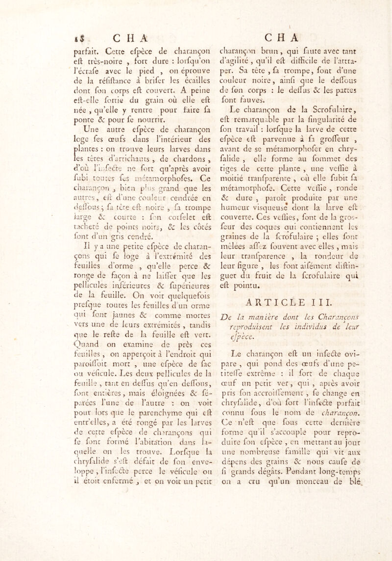 » i$ C H A parfait. Cette efpèce Je charançon effc très-noire , fort Jure : lorfqu’on l’écrafe avec le pied , on éprouve Je la réftftance a brifer les écailles dont fon corps eft couvert. A peine eft-eîîe forrie du grain où elle eft née , qu’elle y rentre pour faire fa ponte tk pour fe nourrir. Une autre efpèce Je charançon loge fes œufs dans l’intérieur des plantes : on trouve leurs larves dans les têtes d’artichauts , de chardons , d’où i'infeéte ne fort qu’après avoir fubi toutes fes métamorphofes. Ce charançon bien plus grand que les autres, eft d’une couleur cendrée en délions ; fa tête eft noire , fa trompe large ôc courte : fan corfelet eft tacheté de points noirs, ôc les cotés font d’un çris cendré. Il y a une petite efpèce de charan- çons qui fe loge à l’extrémité des feuilles d’orme , qu’elle perce ôc ronge de façon à ne biffer que les pellicules inférieures Ôc fupérieures Je la feuille. On voit quelquefois prefque toutes les feuilles d un orme qui font jaunes ôc comme mortes vers une de leurs extrémités , tandis que le refte de la feuille eft vert. Quand on examine de près ces feuilles , on apperçoit à. l’endroit qui paroiffoit mort , une efpèce de fac ou véficule. Les deux pellicules de la feuille , tant en de (fus qu’en deffous, font entières, mais éloignées & fi- parées l’une de l’autre : on voit pour lots que le parenchyme qui eft entr’elles, a été rongé par les larves de cette efpèce de ch?rançons qui fe font formé habitation dans la- quelle on les trouve. Lorfque la chryfaiide s’eft défait de fon enve- loppe , fmfeéte perce le véficule ou il étoit enfermé j et on voit un peut C H A charançon brun , qui faute avec tant d’agilité , qu’il eft difficile de l’attra- per. Sa tête , fa trompe, font d’une couleur noire, amfi que le deffous de fon corps : le deffus ôc les pattes font fauves. Le charançon de la Scrofulaire, eft remarquable par la Angularité de fon travail : lorfque la larve de cette efpèce eft parvenue à fa groffeur , avant de se métamorphofer en chry- falide , elle forme au fommet des tiges de cette plante , une veille à moitié tranfparenre , où elle fubit fa métamorphofe. Cette veille , ronde ôc dure , paroît produite pat une humeur visqueuse dont la larve eft couverte. Ces veilles, font de la gros- feur des coques oui contiennent les graines de la fcrofulaire * elles font mêlées affez fouvent avec elles , mais leur tranfparence , la rondeur de leur figure , les font aifément diftin- guet du fruit de la fcrofulaire qui eft pointu. ARTICLE III. De la manière dont les Charançons j reproduisent les individus de leur efpèce. Le charançon eft un infeéle ovi- pare , qui pond, des œufs d’une pe~ titelle extrême : il fort de chaque œuf un petit ver, qui, après avoir pris fon accroifftement , fe change en chryfaiide, d’où fort l’infeéle parfait connu fous le nom de charançon. Ce n’eft que fous cette dernière forme qu’il s’accouple pour repro- duire fon efpèce , en mettant au jour une nombreuse famille qui vit aux dépens des grains Sc nous caufe de fi grands dégâts. Pendant long-temps on a cru qu’un monceau de blé