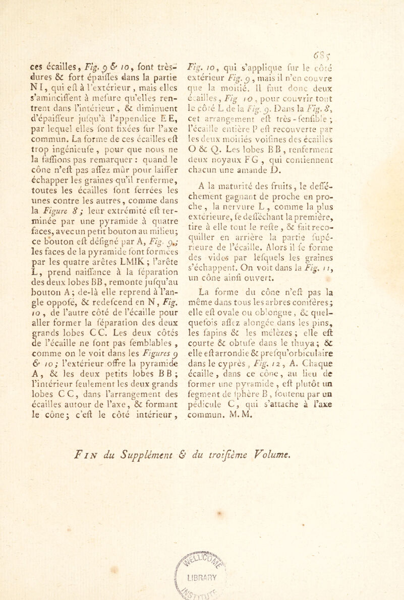 ces écailles, Fig, g & /o, font très- dures êc fort épailles dans la partie N I, qui eft à l’extérieur , mais elles s’aminciftent à mefure qu’elles ren- t trent dans l’intérieur , & diminuent d’épaiffeur jufqu’à l’appendice E E, par lequel elles font fixées fur Taxe commun. La forme de ces écailles eft trop ingénieufe , pour que nous ne la faftions pas remarquer : quand le cône n’eft pas allez mûr pour laide r échapper les graines qu’il renferme, toutes les écailles font ferrées les unes contre les autres, comme dans la Figuu S; leur extrémité eft ter- minée par une pyramide à quatre faces, avec un petit bouton au milieu; ce bouton eft défigné par A, Fig. c>.; les faces de la pyramide font formées par les quatre arêtes LM1K ; l’arête L, prend naiftance à la réparation des deux lobes BB , remonte jufqu’au bouton À ; de-là elle reprend à l’an- gle oppofé, & redefeend en N, Fig. 10 , de l’autre côté de l’écaille pour 9 -4- aller former la réparation des deux grands lobes CC. Les deux côtés de l’écaille ne font pas femblables , comme on le voit dans les Figures y & io ; l’extérieur offre la pyramide A, & les deux petits lobes BB; l’intérieur feulement les deux grands lobes CC, dans l’arrangement des écailles autour de l’axe, & formant le cône3 ceft le côté intérieur, Fig. io, qui s’applique fur le côté extérieur Fig. c), mais il n’en couvre que la moitié, 11 faut donc deux é .ailles, Fis i o , pour couvrir tout ^ ' KJ 1 le çoré L de la Fis. o. Dans îa Fis» <?, cet arrangement eft très - fenfible ; l’écaille entière P eft recouverte par les deux moitiés voifines des écailles O & Q. Les lobes B B , renferment deux noyaux F G , qui contiennent chacun une amande D. A la maturité des fruits, le defîe- chement gagnant de proche en pro- che , la nervure L , comme îa plus extérieure, fe defféchant la première, tire à elle tout le refte, &c faitreco- quiller en arrière la partie fu pê- ne ure de l’écaille. Alors il fe forme des vide-s par lefqueîs les graines s’échappent. On voit dans la Fig. / /, un cône ainfi ouvert. La forme du cône n’eft pas la même dans tous les arbres conifères-; elle eft ovale ou c Dengue , & quel- quefois afïez alongée dans les pins, les fapins <k. les mélèzes ; elle eft: courte & obtufe dans le thuya; ÔZ elle eftarrondie & prefqu’orbicuîaire dans le cyprès , Fig. /2 , A. Chaque écaille , dans ce cône, au lieu de former une pyramide, eft plutôt un fegment de fphère B , foutenu par un pédicule C, qui s’attache à l’axe commun. M.M. Fin du Supplément & du troijîème Volume, LfBRARY v* s -