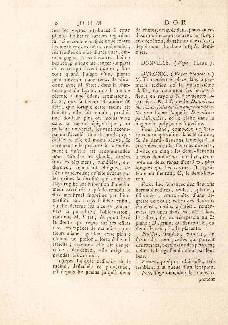 fur les vertus attribuées à cette plante. Piufieurs auteurs regardent ia racine comme un fpécifique contre les morfures des bêtes venimeufes, fes feuilles comme diurétiques, em- ménagogues Si vulnéraires. J’aime beaucoup mieux me ranger du parti de ceux qui favent douter , fur- tout quand l’ufâge d’une plante peut devenir dangereux. Je dirai donc avec M. Yitet, dans fa phar- macopée de Lyon , que la racine récente a une odeur aromatique , forte ; que fa faveur efl amère & acre ; que lorfque cette racine efl fraîche ; elle fait vomir , produit une douleur plus ou moins vive dans ia région épigaflrique , un nial-aife univerfel, fouvent accom- pag né d’accélération du pouls ; que defféchée elle eil moins active , rarement elle procure le vomiffe- ment ; qu’elle efl recommandée pour réfoudre les glandes fituées fous les tégumens , tuméfiées, en- durcies , cependant éloignées de l’état cancéreux ; qu’elle évacue par les urines la férofité qui conflitue Fhydropifie par fufpenfion d’une hu- meur excrétoire ; qu’elle rétablit le flux menflruei fupprimé par l’im- prefîion des corps froids ; enfin , qu’elle déterge les ulcères tendans vers la putridité ; robfervation , continue M. Vitet, n’a point levé le doute qui règne fur fes effets dans ces efpèces de maladies : plu- sieurs même regardent cette plante comme un poifon , lorfqu’elle efl fraîche ; récente , elle efl dange- reufe ; defféchée , elle exige de grandes précautions, Ufages. La dofe ordinaire de la racine, defféchée &£ pulvérifée , efl depuis flx grains jufqua deux drachmes, délayée dans quatre onces d’eau ou incorporée avec un firop ; en décoélion, dans huit onces d’eau, depuis une drachme jufqu’à demi- once. DONV1LLE. ( Voye^ Poire.). DORONIC. ( Foyei Planche F) M. Tournefort le place dans la pre- mière fedion de la quatorzième claffe , qui comprend les herbes à fleurs en rayons &c à femences ai- grettées, & il l’appelle Doronicum maximum foliis cauhm a mplex an t ib u s. M. von-Linné l’appelle Doronicum pardalianclus, 6c le claffe dans la flngénéfie-poly garnie fuperflue. Fleur jaune , compoiée de fleu- rons hermaphrodites dans le difque, & de demi - fleurons femelles à la circonférence ; les fleurons ouverts, divifés en cinq; les demi-fleurons à trois dentelures ; le calice, com- pofé de deux rangs d’écailles , plus longues que les rayons. B repré- fente un fleuron; C, le demi-fleu- ron. Fruit. Les femences des fleurons hermaphrodites , feules , aplaties , fillonnées , couronnées d’une ai- grette de poils; celles des fleurons femelles 5 moins aplaties , renfer- mées les unes dans les autres dans le calice , fur un réceptacle nu plane ; D, graine du fleuron ; E, du demi-fleuron ; F , le placenta. Feuilles, Amples , entières , en forme de cœur ; celles qui partent des racines, portées fur des pétioles ; celles de la tige l’embraffent par leur bafe. Racine, prefque tubéreufe, ref- femblant à ia queue d’un feorpion. Port. Tige rameufe , les rameaux portent