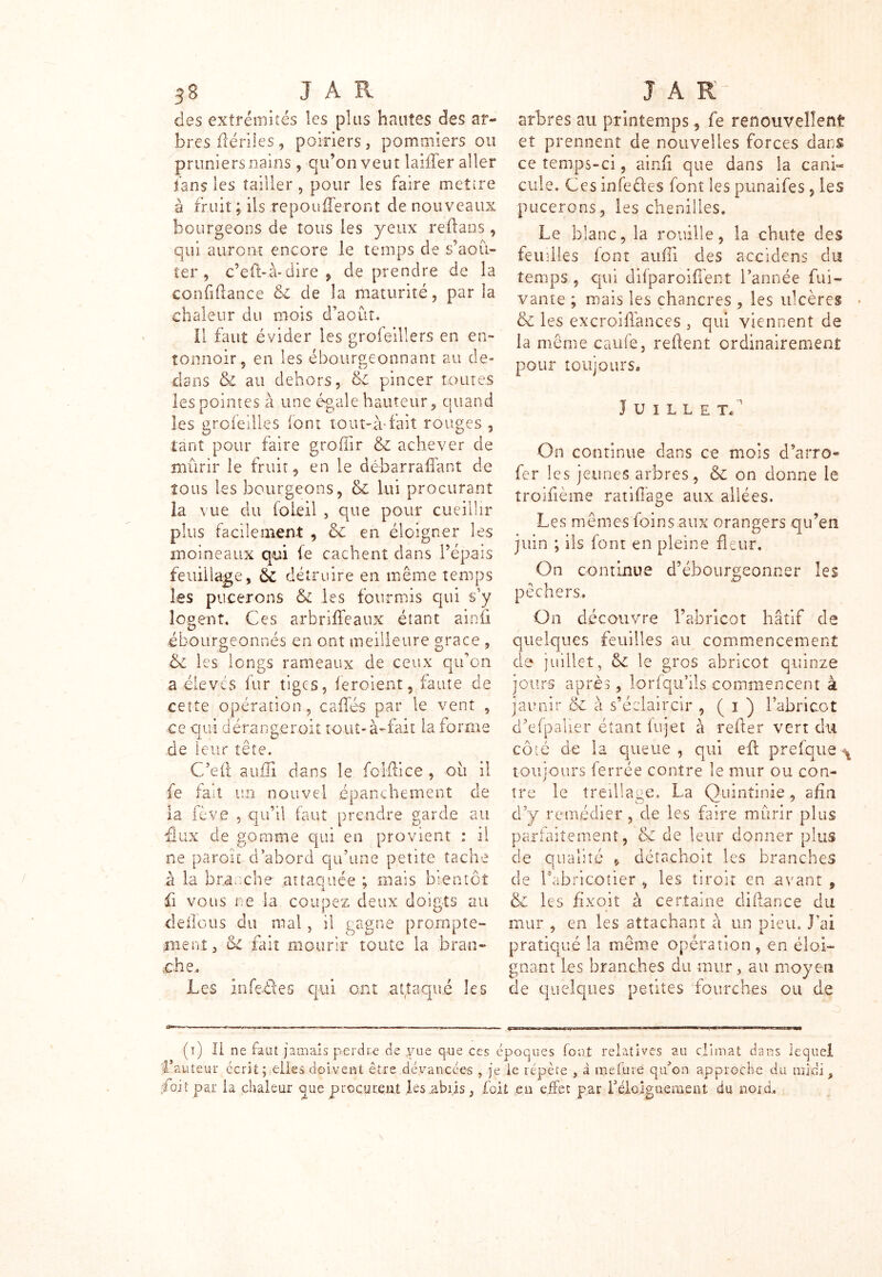 des extrémités les plus hautes des ar- bres ftériles, poiriers, pommiers ou pruniers nains, qu’on veut laifler aller fans les tailler , pour les faire mettre à fruit ; ils repou fieront de nouveaux bourgeons de tous les yeux reftans, qui auront encore le temps de s’aoû- ter , c’eû-à-dire , de prendre de la confiftance &c de la maturité, par la chaleur du mois d’août. Il faut évider les grofeiliers en en- tonnoir, en les ébour&eonnant au de- dans & au dehors, &C pincer toutes les pointes à une égale hauteur, quand les grofeilies (ont tout-a-fait rouges , tant pour faire gr.offir & achever de mûrir le fruit, en le débarrafiant de tous les bourgeons, & lui procurant la vue du foLeil , que pour cueillir plus facilement , & en éloigner les moineaux qui le cachent dans l’épais feuillage, 6c détruire en même temps les pucerons & les fourmis qui s’y logent. Ces arbriffeaux étant ainfi ébourgeonnés en ont meilleure grâce , Ôc les longs rameaux de ceux qu’on a élevés fur tiges, feroient, faute de cette opération, cafTés par le vent , ce qui dérangerait tout- à-fait la forme .de leur tête. C’efi: auffi. dans le folftice , ou il fe fait un nouvel épanchement de la fève , qu’il faut prendre garde au flux de gomme qui en provient : il ne paroit d’abord qu’une petite tache .à la branche- .attaquée ; mais bientôt fi vous ne la coupez deux doigts au délions du mal, il gagne prompte- ment, &c fait mourir toute la bran- che.. Les infeéles qui ont attaqué les arbres au printemps, fe renouvellent et prennent de nouvelles forces dans ce temps-ci, ainfi que dans la cani- cule. Ces infeéles font les punaifes , les pucerons, les chenilles. Le blanc, la rouille, la chute des feuilles font suffi des accidens du temps , qui difparoiflent l’année fui- vante ; mais les chancres , les ulcères • ôc les excroifïanccs , qui viennent de la même caufe, relient ordinairement pour toujours. Juillet/’ On continue dans ce mois d’arro- fer les jeunes arbres, & on donne le troifième ratifiàge aux allées. Les mêmes foins aux orangers qu’en juin ; ils font en pleine fleur. On continue d’ébourgeonner les pêchers. On découvre l’abricot hâtif de quelques feuilles au commencement de juillet, tk le gros abricot quinze jours après, lorfqu’ils commencent à jaunir & à s’éclaircir , ( 1 ) l’abricot d’efpalier étant fujet à refier vert du côté de la queue , qui eft prefque ^ toujours ferrée contre le mur ou con- tre le treillage. La Quintinie, afin d’y remédier, de les faire mûrir plus parfaitement, & de leur donner plus de qualité * déîachoiî les branches de l’abricotier , les tiroit en avant , & les flxoit à certaine diftance du mur , en les attachant a un pieu. J’ai pratiqué la même opération , en éloi- gnant les branches du mur, au moyen de quelques petites fourches ou de (1) Il ne faut jamais perdre de yue que ces époques font relatives au climat dans lequel fauteur écrit; elles doivent être dévancée-s , je le répète , à mefure qu’on approche du midi > foi t par la chaleur oue procurent les .abris, foit en effet par réloiguement du nord.