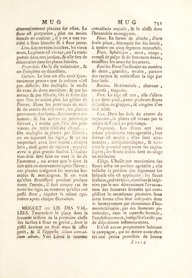alternativement placées fur elles. La fleur efl purpurine , plus ou moins foncée en couleur ; il y en a une va- riété à fleur blanche 6c à fleur jaune. Lieu. Les terreins incultes, les vieux murs. La plante efl vivace ; on l’a trans- portée dans nos jardins, 6c elle Sert de décoration dans les plates-bandes. Propriétés. On la dit vulnéraire , 6c on l’emploie en décoèlion. Culture. Le lieu où elle croit Spon- tanément prouve que Sa culture n’efl: pas difficile. On multiplie le mufle de veau de deux manières , 6c par Se- mence & par filleule. On le Sème dès que l’on ne craint plus les gélées de l’hiver. Dans les provinces du midi 6c du centre dit royaume , les plantes provenues des Semis, fleuriront en au- tomne , 6c les autres au printemps Suivant, à moins que l’été des pro- vinces du nord n’ait été chaud, . . . On multiplie la plante par filleule , en en Séparant les tiges , 5c en les emportant avec leur racine ; chaque brin , ainfi garni de racines , reprend avec la plus grande facilité. L’opéra- tion doit être faite ou vers la fin de l’automne , ou avant que h Sève Se foit mife en mouvement après l’hiver ; ce s plantes craignent les terreins hu- mides 6c marécageux. Si on veut qu’elles fleuriflent pendant prefque toute l’année, il faut couper raz de terre les-tiges au moment qu’elles ont pafle fleur , répéter la même opé- ration après chaque fleuraifon. MUGUET ou LIS DES VAL- LÉES. Tournefort le place dans la fécondé Section de la première clafle des herbes à fleur en grelot , dont le piftil devient un fruit mou & affez petit, 6c il l’appelle l'ilium conval- Hum album. Von Linné le nomme convallarla majalls , 6c le claffe dans l’hexandrie monogynie. Fleur. En forme de cloche , d’une feule pièce, découpée fur Ses bords, à quatre ou cinq fegmens recourbés. Fruit. Sphérique , mou , rouge , rempli de pulpe 6c de Semences dures, entaflees les unes Sur les autres. Feuilles. Pour l’ordinaire au nombre de deux , grandes, ovales, partant des racines 6c embraflant la tige par leur bafe. Racine. Horizontale , charnue , noueufe , traçante. Port. La tige efl: nue , elle s’élève à un demi pied, porte plufieurs fleurs diîpofées en grappes, 6c rangées d’un leul cote. Lieu. Dans les bois du centre du royaume , la plante eft vivace par Sa racine & fleurit au printemps. Propriétés. Les fleurs ont une odeur pénétrante très-agreable , leur Saveur efl amère ; elles Sont atté- nuantes , antifpafmodiques , 6l tien- nent le premier rang entre les cépha- liques ; les fleurs Seules Sont en ufage en médecine Ufage. L’huile par macération des fleurs offre un parfum agréable ; elle relâche la portion des tégumens Sur lefqucls elle efl appliquée : les fleurs Séchées, pulvérifées, tamifées 61 infpi- rées par le nez déterminent l’évacua- tion des humeurs féreufes qui rem- pliffent la'-membrane pitutaire. Sous cette forme elles font indiquées dans le larmoyement par abondance d'hu- meurs féreufes , par des humeurs pi- tuiteufes , dans le catarrhe humide , Petichifrénement, lorfqu’il n’exifle pas de difpofitions inflammatoires. Il n’efl aucun propriétaire habitant la campagne, qui ne doive avoir chez Soi une petite provifion de bonne