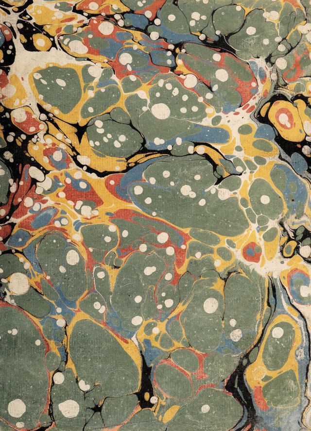 No text description is available for this image