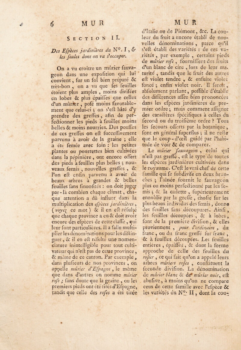 Section IL Des Efpèces jardinières du Nç. I, & les feules dont on va £ occuper, * ' On a vu croître un mûrier fauva- geon dans une expofition qui lui convient, fur un fol bien préparé &C très-bon , on a vu que fes feuilles étoient plus amples , moins divifées en lobes & plus épaiiTes que celles d’un mûrier, pofé moins favorable- ment que celui-ci ; on s’eft hâté d’y prendre des greffes, afin de per- fedionner les pieds à feuilles moins belles & moins nourries. Des pouffes de ces greffes on eft fucceffivement parvenu à avoir de la graine ; elle a été fçmée avec loin : les petites plantes ou pourrettes bien cultivées dans la pépinière, ont encore offert des pieds a feuilles plus belles ; nou- veaux femis , nouvelles greffes , & l’on eft enfin parvenu à avoir de beaux arbres à grandes & belles feuilles fans finuofites : on doit juger par-la combien chaque climat, cha- que attention a .dû influer dans la multiplication des efpèces jardinières , ( voye-{ ce mot ) & il en eft réfuté que chaque province a eu & doit avoir encore des efpèces de cette ciaftè , qui leur font particulières. Il a fallu multi- plier les dénominations pour les diftin- guer, & il en eft réfulté une nomen- clature inintelligible pour tout culti- vateur qui iTeft pas de cette province, & meme de ce canton. Par exemple 9 dans plufteurs de nos provinces , on appelle mûrier dû Efpagne , le même que dans d’autres on nomme mûrier rofe ; fans doute que la graine , ou les premiers pieds ont été tirés d’Efpagne, tandis que celle des rofes a été tirée d’Italie.ou de Piémont, &c. La cou- leur du fruit a encore établi de nou- velles dénominations , parce qu’il s’eft établi des variétés : de ces va- riétés , par exemple , certains pieds de mûrier rofe , fourniflent des fruits d’un blanc de cire , lors de leur ma. turite' , tandis que le fruit des autres eft violet tendre , & enfui te violet foncé ; enfin violet noir. Il feroit, abfolument parlant, poftible d’établir des différences allez bien prononcées dans les efpèces jardinières du pre- mier ordre ; mais comment affigner des caraétères fpécifiques à celles du fécond ou du troifième ordre ? Tous les fecours offerts par la botanique , font en général fuperflus ; il ne refte que le coup-d’œil guidé par l’habi- tude de voir &ç de comparer. Le mûrier fauvageon , celui qui n’eft pas greffé , eft le type de toutes les efpèces jardinières cultivées dans le royaume. C’eft le vrai chef de cette famille qui fe fubdivife en deux bran- ches ; l’aînée fournit le fauvageon plus ou moins perfectionné par les fe- mis ; & la cadette , fupérieurement ennoblie par la greffe , çhofie fur les plus beaux individus des femis, donne des feuilles fans découpures, Ain fi , les feuilles découpées , & à lobes, font de la première divifion , & elles proviennent , pour Vordinaire , du franc , ou du franc greffé fur franc , & à feuilles découpées. Les feuilles entières , épaiiTes , & dont la forme approche de celle des feuilles du rojier , ce qui fait qu’on a appelé leurs arbres mûriers rojes , conftituent la fécondé divifion. La dénomination de mûrier blanc & de mûrier noir, eft abufive, à moins qu’on ne compare ceux de cette famille avec l’efpèce ÔC les variétés du II ? dont la cou-