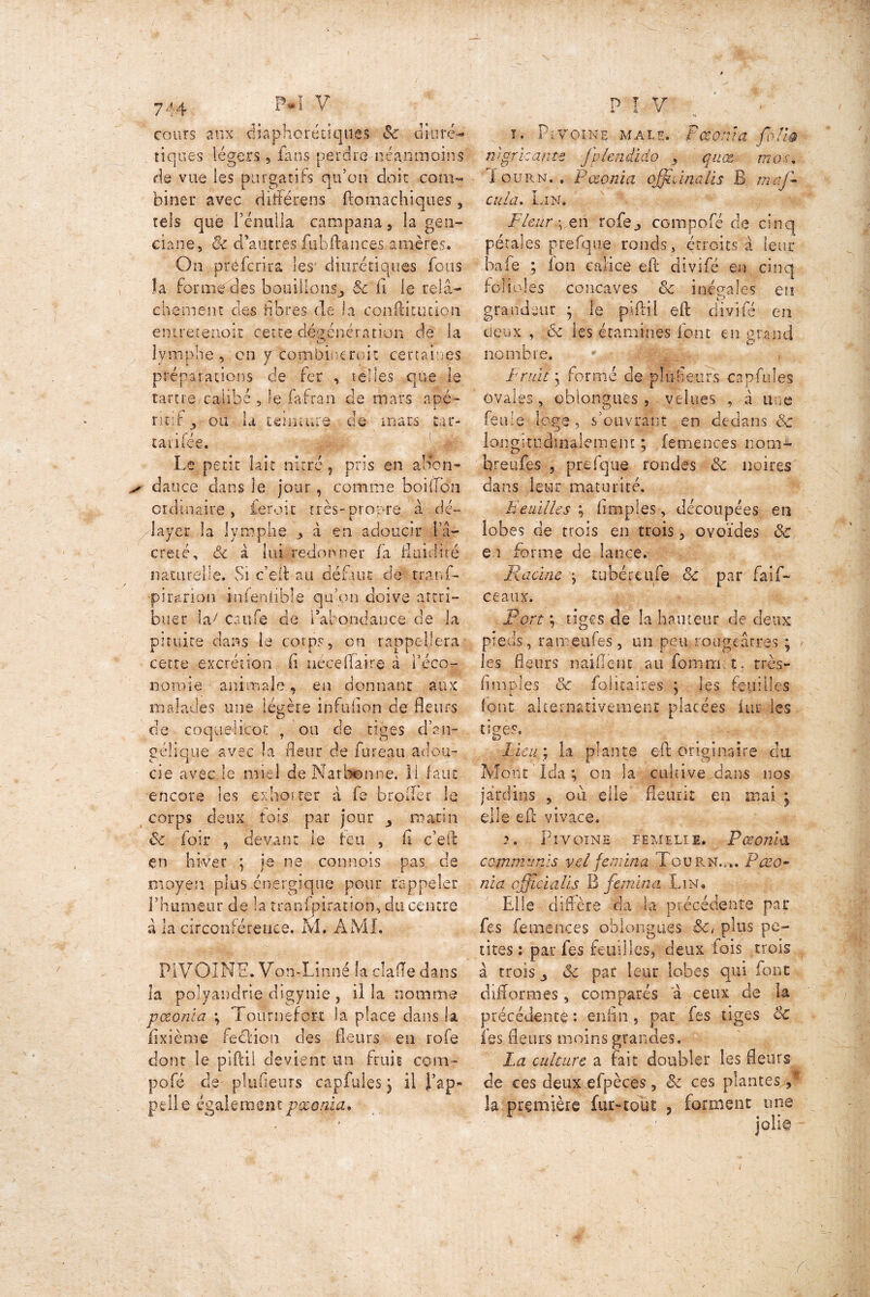 744 PV cours aux diaphorétîques Sc diuré- tiques légers 9 fans perdre néanmoins de vue ies purgatifs cjtfcm doit com- biner avec différent ftomachiques, tels que fénulla campana, la gen- ciane, êc d’autres fubftances amères. On prefcrixa les diurétiques fous la forme des bouillons,, Sc fi le relâ- chement des libres de la confident ion emretenoit cette dé&énératien de la O lymphe, on y'-combinèrent certaines préparations de fer , telles que le tartre c'a.iibé , le fafran de mars a pé- rit:): ^ ou la tennure de mars tar- tari fée. Le petit lait nitré, pris en alxm- ^ dauce dans le jour, comme boiffon ordinaire, feroit très-propre à dé- layer la lymphe d en adoucir La— crêté, âç d lui redonner fa fluidité naturelle. Si c’efl: au défaut de tranf- pir^rion infentible qu’on doive attri- buer la/ caufe de l’abondance de la pituite dans le corps, on rappellera cette excrétion fi néceffaire à l’éco- nomie animale, en donnant aux malades une légère infuiion de fleurs de coquelicot , ou de tiges d’an- gélique avec la fleur de fureau adou- cie avec le miel de Narbonne. 11 faut encore les exhorter a fe bro (Ter le corps deux fois par jour matin Sc foir , devant le feu , fi c’e(| en hiver ; je ne commis pas de moyen plus énergique pour rappeler l’humeur de la tranfpiration, du centre d la circonférence. M. AMI. PIVOINE. Von-Linné la clafle dans la polyandrie digynie , il la nomme pœonia ; Toiirnefort la place dans la fixîème feélion des fleurs en rofe dont le piftil devient un fruit com- pofé de pliiiieurs capfules j il J’ap- pelle également pœonia» P I V ~ -1 ** i. Pivoine male. Pœonia folié wgrkantz fplendido , quæ mou X ouRN. » Pœonia officine lis B maffi cula. Lin. Fleur\ en rofej compofé de cinq pétales prefque ronds, étroits à leur bafe ; ion calice efl divifé en cinq folioles concaves êc inégales en grandeur ; le piflil efl: divifé en deux , êc les étamines font en grand nombre. *0 .. ^ Fruit y formé de plu heurs capfules ovales, oblongues , velues , à une feule loge, s’ouvrant en dedans & longitudinalement ; femences norn- breufes , prefque rondes êc noires dans leur maturité. Feuilles ; Amples, découpées en lobes de trois en trois, ovoïdes êc e.i forme de lance. Racine j tubéreufe êc par faif- ceaux. Port ; tiges de la hauteur de deux pieds, rameufes, un peti.rougeâtres ; / les fleurs naiflenc au fomm t. très- fimples & folicaires ; les feuilles fout alternativement placées fur les tiges. Lieu; la plante efl: originaire du Mont Ida ; on la cultive dans nos jardins , ou elle .fleurit en mai; elle efl: vivace, r. Pivoine femelie. Pœonia commuais vel femina Tourn.,-,. Pœo- nia officia lis B femina Lin. Elle diffère da la précédente par fes femences oblongues êc, plus pe- tites : parles feuilles, deux lois trois à trois j êc par leur lobes qui font difformes, comparés à ceux de la précédente : enfin, par fes tiges ÔC fes fleurs moins grandes. La culture a fait doubler les fleurs de ces deux efpèces, êc ces plantes.,* la première fur-tout , forment une À jolie - /