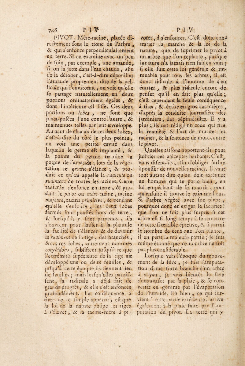 74£ P l tF PIVOT. Mère-racine, placée dî- reéfcement fous le tronc de Parbre j 8c qui s’enfonce perpendiculairement en terre. Si on examine avec un peu de foin , par exemple , une amande, li on la jette dans Peau chaude , afin de la dérober , c’eft-à-dire dépouiller Pamande proprement dite de la pel- licule qui Penvironne, on voit qu’elle ie partage naturellement en deux portions ordinairement égales , 8c dont l’intérieure eft lilfe. Ces deux portions ou lobes , ne font que juxta-pofées l’une contre Pautre , êc maintenues telles par leur enveloppe. Àu haut de chacun de ces deux lobes * c’eft-à-dire du coté le plus pointu, on voit une petite cavité dans laquelle le germe eft implanté , 8c h pointe du garnie termine la pointe de Pamande ; lors de la végé- tation ce germe s’élance *y 8c pro- duit ce qÿcu appelle la radicule ou rudiment de toutes les racines. Cette radici-ée s’enfonce en terre , 8c pro- ciaiî le pivot ou mère-xzàm > racine ma]curey racine pripiuive , êc pendant Qu’elle s’enfonce , les deux lobes fermés font pou (Tés hors de terre , 8c lorfqu’ils y font parvenus , ils s’ouvrent pour laiiïer à la plantais la facilité de s'élancer 8c de devenir h rudiment de la tige 9 des branches , Sec. ’, ces lobes, autrement nommés cotylédons ? fubfiftent jufqu’à ce que l’extrémité fupérieure de la tige ait développé une ou deux feuilles , 8c jufqiTà cette époque ils tiennent lieu de feuilles ; mais loifqu’elles paroif* lent, la radicule a déjà fait de grands progrès, 8c elle s’efc enfoncée profondément. La conléquence à tirer de e (impie appercu , eft que la loi de la nature oblige les tiges i s’élever, 8c la racine-mère à pi • P I V Voter, a s’enfoncer. C’eft donc con- trarier la marche 8c la loi de la nature, que de fuprimer le pivota un arbre que Ton replante , puifque la nature n’a jamais rien fait en vain ; fi elle fuit cette loi générale 8c im- muable pour tous les arbres, il eft donc ridicule à Phomoie de s’ea écarter ^ & plus ridicule encore de penfer qu’il en fait plus quelle ; Ceft cependant la feule conféquence à tirer, 8c écrite en gros caractères , d’après k conduite journalière des jardiniers, des pépiniériftes. Il y a plus ; ils ont rédigé un code qui fixe la manière 8c l'art de mut lier les racines, 8c la featence de mort contre le pivot. Quelles raifons apportent-ils pour juftifter ccs préceptes barbares. C’eft^ vous difent-ils , afin d'obliger l’arbre àpouTer de nouvelles racines. 11 vaut tout autant dire qu’on doit exténuer un homme qui le porte bien , en lui empêchant de fq nourrir , pour qu’enfuite il trouve le pain meilleur. Si Larbre végète avec fon p!vot , pourquoi donc en exiger le faciifice ! que l’on ne foit plus furptis fi cet arbre eft fi long* temps à le remettre de cette fi terrible épreuve, & fi parmi le nombre de ceux que l’on plante , il en périt la majeure partie ; je fuis même étonné que ce nombre ne foit pas plus conlidérable. Lorfque vers l’époque du mouve- ment de la fève , je fais l’amputa- tion d’une forte branche d'un arbre à noyau , je vois bientôt la lève s’excravafer par la plaie , 3c le con- vertir en gomme par l'évaporation de l’humide. Eh bien , ce qui fur* vient a cette partie extérieure, arrive également à la plaie faite par fana- pucation du pivot. La terre qui y<