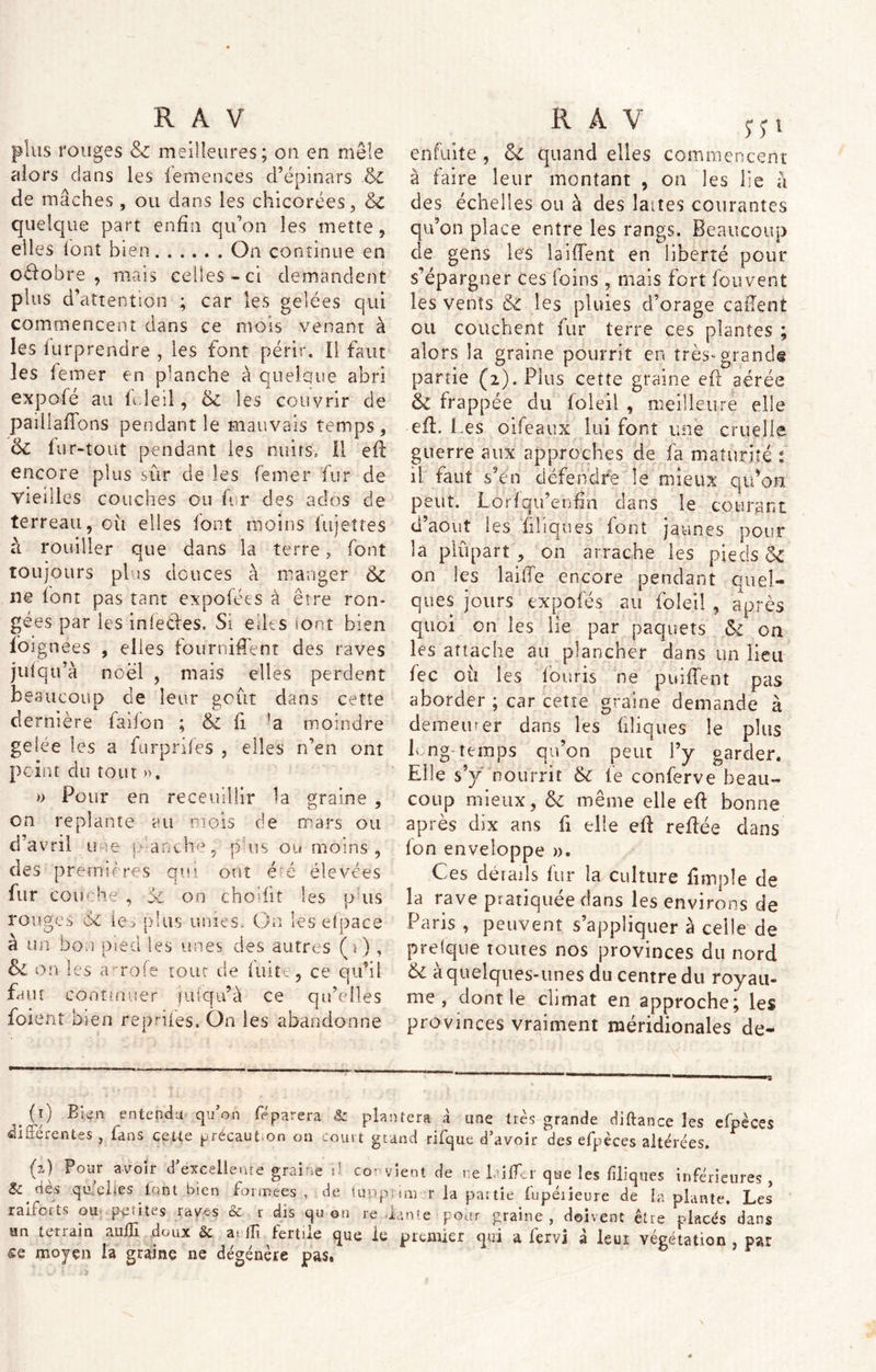 plus rouges & meilleures; on en mêle alors clans les femences d’épinars 6c de mâches, ou dans les chicorées, 6c quelque part enfin qu’on les mette, elles font bien On continue en oéfobre , mais celles-ci demandent plus d’attention ; car les gelées qui commencent dans ce mois venant à les iurprendre , les font périr. Il faut les femer en planche à quelque abri expofé au foleil, 6c les couvrir de paiilaffons pendant le mauvais temps, & fur-tout pendant les nuits.. Il eft encore plus sûr de les femer fur de vieilles couches ou fur des ados de terreau, où elles font moins iujeîîes à rouiller que dans la terre, font toujours plus douces à manger 6c ne font pas tant cxpofées à être ron- gées par les infecles. Si elles tout bien foignees , elles fournirent des raves jufqu’à noël , mais elles perdent beaucouo cle leur août dans cette dernière faifon ; 6c fi !a moindre gelée les a furprifes , elles rfen ont point du tout ». » Pour en receuillir la graine , on replante au mois de mars ou d’avril une t anche, pus ou moins, des premières qui ont été élevées fur cou hé, 5c on chodit les plus rouges de ie> plus unies. On les efpace à un bon me cl les unes des autres (i) , Sc on les a ’Tofe tour de fuite, ce qu’il faut continuer jtùqu’à ce qu’elles foie nt bien repaies, On les abandonne (i) Bien entendu qu’on féparera Sc pla différentes , fans cette précaution on court gt (2.) Pour avoir d'excellente graine d co- s Sc dès qu'elles font bien formées , de tuup raiforts ou petites raves & r dis qu on re , un terrain aufîî doux & a> ifi fertile que le se moyen la graine ne dégénère pas. jk a \ > f f enfuite , 6c quand elles commencent à faire leur montant , on les lie à des échelles ou à des laites courantes qu’on place entre les rangs. Beaucoup de gens les biffent en liberté pour s’épargner ces foins , mais fort fou vent les vents & les pluies d’orage caftent ou couchent fur terre ces plantes ; alors la graine pourrit en très-grandi partie (2). Plus cette graine eft aérée 6c frappée du foleil , meilleure elle -eft. Les oifeaux lui font une cruelle guerre aux approches de fa maturité : il faut s’en défendre le mieux qu’on peut. Lorf qu’en fin dans le courant d’août les filiques font jaunes pour la plûpart, on arrache les pieds 6c on les laiile encore pendant Quel- ques jours expofés au foleil , après quoi on les lie par paquets &i on les attache au plancher dans un lieu fec où les fouris ne puiffent pas aborder ; car cette graine demande à demeurer dans les filiques le plus L;ng temps qu’on peut l’y garder. Elle s’y nourrit 6c le conferve beau- coup mieux, 6c même elle eft bonne après dix ans fi elle efl refiée dans fon enveloppe ». Ces déïads fur la culture fimple de la rave pratiquée dans les environs de Paris , peuvent s’appliquer à celle de prelque toutes nos provinces du nord 6i à quelques-unes du centre du royau- me , dont le cnmat en approche; les provinces vraiment méridionales dé- niera à une très grande diftance les efpèces and rifque d'avoir des efpèces altérées. dent de t:e L ifEr que les filiques inférieures , ■mi r la partie fupéiieure de la plante. Les lame pour graine, doivent être placés dans premier qui a fervi â leur végétation , par