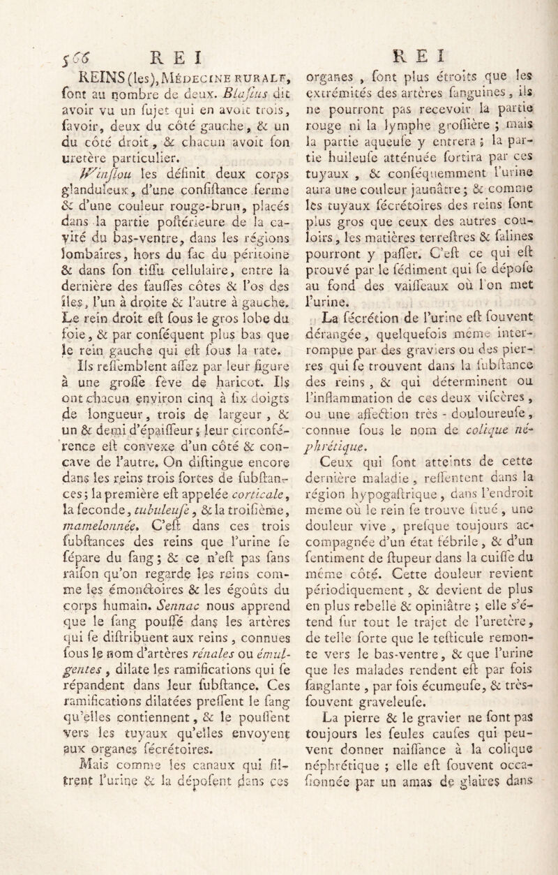 REINS (les), Médecine rurale, font au nombre de deux. Biafius dit avoir vu un fujet qui en avoit trois, bavoir, deux du côté gauche, & un du côté droit, 3c chacun avait fon uretère particulier. Win flou les définit deux corps glanduleux, d'une çonfîftance ferme 3c d'une couleur rouge-brun, placés dans la partie poftérieure de la ca- yité du bas-ventre, dans les régions lombaires, hors du fac du péritoine & dans fon tiflii cellulaire, entre la dernière des faufles côtes 3c l’os des îles, l’un à droite & l’autre à gauche. Le rein droit eft fous ie gros lobe du foie, 3c par conféquent plus bas que le rein gauche qui eft fous la rate. Ils refiembîent a fiez par leur figure à une groffe fève de haricot. Ils ont chacun environ cinq à hx doigts de longueur, trois de largeur , & un 3c demi d’épaiffeur $ leur circonfé- rence eft convexe d’un côté & con- cave de l’autre, On diftingue encore dans les reins trois fortes de fa b fian- ces ; la première eft appelée corticale, la fécondé, tubuleufe, &la troihème, mamelonnée» Ç’eft dans ces trois fubftances des reins que l’urine fe fepare du faog ; 3c ce n’eft pas fans raifon qu’on regarde les reins com- me les émonèloires 3c les égoûts du corps humain. Sennac nous apprend que le fang pouffé dans les artères qui fe diftribuent aux reins , connues ious le nom d'artères rénales ou émiti- gent es , dilate les ramifications qui fe répandent dans leur fubftançe. Ces ramifications dilatées preffent le fang qu’elles contiennent, & le poufient vers les tuyaux qu’elles envoyeur aux organes fécrétoires. Mais comme les canaux qui fil- trent burine & la dépofent dans ces organes , font plus étroits que les extrémités des artères fanguines , iis ne pourront pas recevoir la partie rouge ni la lymphe grofflère ; mais la partie aqueufe y entrera 5 la par- tie huileufe atténuée fortira par ces tuyaux , 3c coniéquemment l urine aura une couleur jaunâtre ; & comme les tuyaux fécrétoires des reins font plus gros que ceux des autres cou- loirs , les matières terrefires 3c falines pourront y paffer. C’eft ce qui eft prouvé par le fédiment qui fe dépote au fond des vaiffeaux où i on met Turine. La fécrétion de burine eft fouvent dérangée, quelquefois meme inter- rompue par des graviers ou des pier- res qui fe trouvent dans la (ubftance des reins , 3c qui déterminent ou l’inflammation de ces deux vifecres , ou une affeéiion très - douloureufe, connue fous le nom de colique né- phrétique» Ceux qui font atteints de cette dernière maladie , reffentent dans la région hypogaftrique , dans l’endroit meme où le rein ie trouve iitué , une douleur vive , prefque toujours ac- compagnée d’un état fébrile, & d'un fentiment de ftupeur dans la cuiffe du même côté. Cette douleur revient périodiquement, 3c devient de plus en plus rebelle 3c opiniâtre ; elle s’é- tend fur tout le trajet de l’uretcre, de telle forte que le tefticule remon- te vers le bas-ventre, & que burine que les malades rendent eft par fois fanglante , par fois écumeufe, 3c très- fou vent graveleufe. La pierre 3c le gravier ne font pas toujours les feules caufes qui peu- vent donner naiffance à la colique néphrétique ; elle eft fouvent occa- fionoée par un amas de glaires dans