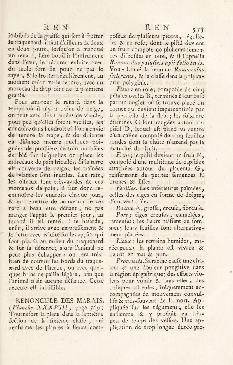 Imbibés de la graille qui fert à frotter je traquenard ; il faut d'ailleurs de deux en deux jours, lorfqu’on a manqué un renard, faire bouillir l’inttrument dans l’eau 3 le récurer enluite avec du fable fort fin pour ne pas le rayer, & le frotter régulièrement, au moment qu’on va le tendre, avec un morceau de drap oint de la première graillé. Pour amorcer le renard dans le temps où il n’y a point de neige, on peut avec des traînées de viande, pour peu qu3elles foient vieilles, les conduire dans l’endroit où l’on a envie de tendre la trape, & de diftance en diftance mettre quelques poi- gnées de pouiiière de foin ou baies de blé fur îefquelles on place les morceaux de pain fricalTés. Si la terre eft couverte de neige, ies traînées de viandes font inutiles. Les rats, les oifeaux font très-avides de ces morceaux de pain, il faut donc re- connoître les endroits chaque jour, & en remettre de nouveau ; le re- nard a beau être défiant , ne pas manger l’appât le premier jour, au fécond il eft tenté, il fe hafarde, enfin, il arrive avec emprefièment & fe jette avec avidité furies appâts qui font placés au milieu du traquenard & fur fa détente; alors l’animal ne peut plus échapper : on fera très- bien de couvrir ies bords du traque- nard avec de l’herbe, ou avec quel- ques brins de paille légère, afin que l’anima! n’ait aucune défiance. Cette recette eft infaillible. / RENONCULE DES MARAIS. ( Flanche XXXVIII, page y 6y ) Tournefort la place dans la feptième feélion de la ftxième clafife , qui renferme les plantes à fleurs çom- pofées de plufîeurs pièces, réguliè- res & en rofe, dont le piftil devient un fruit compofé de plufieurs femen- ces difpolées en tête, & il l’appelle Ranunculuspalujlris apii folio levis. Von-Linné la nomme Ranunculus fceleratus, & la clafté dans la polyan- drie poîygînie. Fleur; en rôle, compofée de cinq pétales ovales B , terminés àîeurbafe par un onglet où fe trouve placé un cornet qui devient imperceptible par la petiteffe de la fteur; les foixante étamines C font rangées autour du piftil D, lequel eft placé au centre d’un calice compofé de cinq feuilles rondes dont la chiite n’attend pas la maturité du fruit. Fruit; le piftil devient un fruit F, compofé d’une multitude de capfules attachées autour du placenta G, renfermant de petites femences E brunes & liftes. Feuilles. Les inférieures palmées , celles des tiges en forme de doigts, d’un vert pâle. Racine A ; grolfe, creufe, fibreufe* Port ; tiges creufes , cannelées , rameufes; les fleurs naifîent au fom- met; leurs feuilles font alternative- ment placées. Lieux ; les terrains humides, ma- récageux; la plante eft; vivace 6c fleurit en mai & juin. Propriétés. Sa racine caufe une cha- leur & une douleur pongitive dans la région épigaftrique; des efforts vie- lens pour vomir & fans effet ; des coliques affreufes, fréquemment ac- compagnées de mouvemens convul- fifs 6c très-fouvent de la mort. Ap- pliquée fur les tégumens, elle les enflamme & y produit en très- peu de temps des veilles. Une ap- plication de trop longue durée pro-