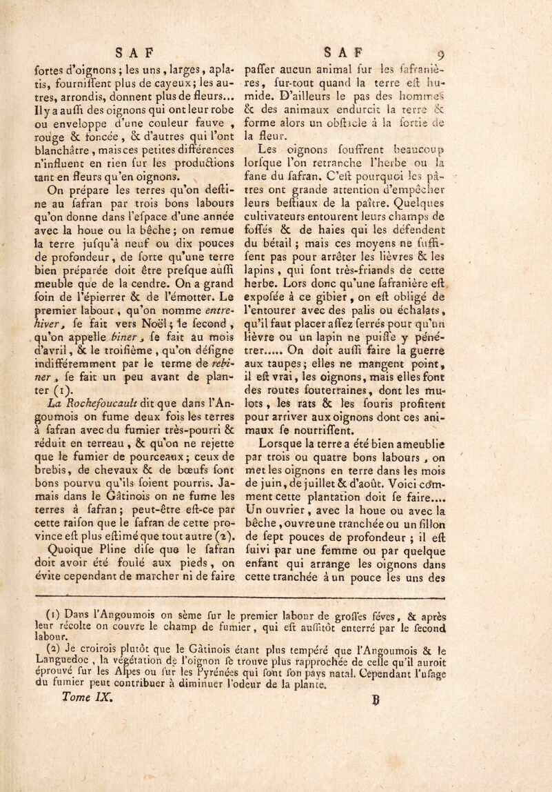fortes d’oignons ; les uns, larges, apla- tis, fourniffent plus de cayeux; les au- tres, arrondis, donnent plus de fleurs... h y a aufli des oignons qui ont leur robe ou enveloppe d’une couleur fauve , rouge 8c foncée , 8c d’autres qui l’ont blanchâtre , mais ces petites différences n’influent en rien fur les produ&ions tant en fleurs qu’en oignons. On prépare les terres qu’on defti- ne au fafran par trois bons labours qu’on donne dans i’efpace d’une année avec la houe ou la bêche ; on remue la terre jufqua neuf ou dix pouces de profondeur, de forte qu’une terre bien préparée doit être prefque aufli meuble que de la cendre. On a grand foin de l’épierrer & de l’émotter. Le premier labour , qu’on nomme entre- hiver ; fe fait vers Noël ; le fécond , qu’on appelle biner j fe fait âu mois d’avril, & le troifième , qu’on défigne indifféremment par le terme de rebi* ner * fe fait un peu avant de plan- ter (i). La Rochefoucault dit que dans l’An- goumois on fume deux fois les terres à fafran avec du fumier très-pourri 8t réduit en terreau, 8c qu'on ne rejette que le fumier de pourceaux; ceux de brebis, de chevaux 8c de bœufs font bons pourvu qu’ils foient pourris. Ja- mais dans le Gâtinois on ne fume les terres à fafran ; peut-être eft-ee par cette raifon que le fafran de cette pro- vince eft plus eftiméque tout autre (2). Quoique Pline dife que le fafran doit avoir été foulé aux pieds , on évite cependant de marcher ni de faire paffer aucun animal fur les fafraniè- res, fur-tout quand la terre eft hu- mide. D’ailleurs le pas des hommes 8c des animaux endurcit la terre & forme alors un obfhele à la fortie de la fleur. Les oignons fouffrent beaucoup lorfque l’on retranche l’herbe ou la fane du fafran. C’eft pourquoi les pâ- tres ont grande attention d’empêcher leurs beftiaux de la paître. Quelques cultivateurs entourent leurs champs de foffés & de haies qui les défendent du bétail ; mais ces moyens ne fufli- fent pas pour arrêter les lièvres 8c les lapins, qui font très-friands de cette herbe. Lors donc qu’une fafranière eft expofée à ce gibier, on eft obligé de l’entourer avec des palis ou échalats» qu’il faut placer affez ferrés pour qu’un lièvre ou un lapin ne puiffe y péné- trer...,. On doit aufh faire la guerre aux taupes; elles ne mangent point» il eft vrai, les oignons, mais elles font des routes fouterraines, dont les mu- lots , les rats & les fou ris profitent pour arriver aux oignons dont ces ani- maux fe nourriffent. Lorsque la terre a été bien ameublie par trois ou quatre bons labours , on met les oignons en terre dans les mois de juin, de juillet 8c d’août. Voici cdm- ment cette plantation doit fe faire.... Un ouvrier, avec la houe ou avec la bêche , ouvre une tranchée ou unflllon de fept pouces de profondeur ; il eft fuivi par une femme ou par quelque enfant qui arrange les oignons dans cette tranchée à un pouce les uns des ... (1) Dans l’Angoumois on sème fur le premier labour de grofles fèves, & après leur récolté on couvre le champ de fumier, qui eft aufftot enterré par le fécond labour. (2) Je croirois plutôt que le Gâtinois étant plus tempéré que l’Angoumois &. le Languedoc , la végétation de l’oignon fe trouve plus rapprochée de celle qu’il auroit çprouve fur les Alpes ou iur les Pyrénées qui font fon pays natal. Cependant l’ufage du fumier peut contribuer à diminuer l’odeur de la plante.