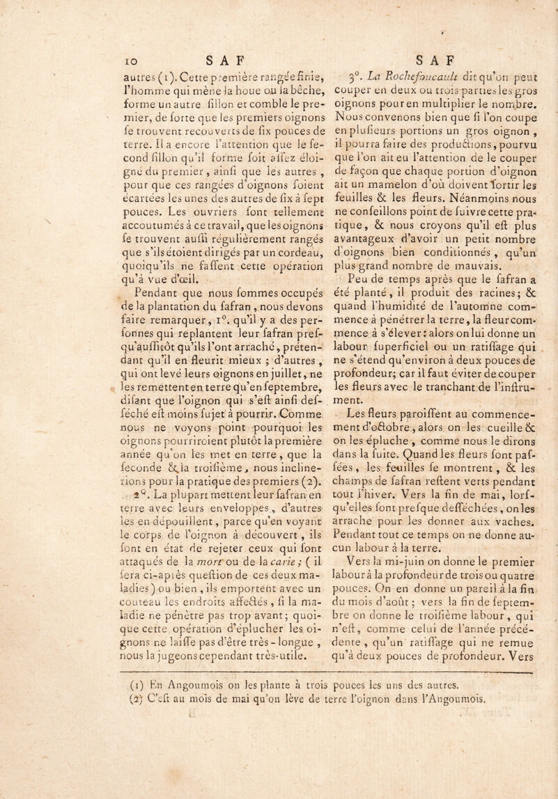 & ^9 autres (i). Cette première rangée finis l’homme qui mène la houe ooi la bêche, forme un autre fillon et comble le pre- mier, de forte que les premiers oignons le trouvent recouverts de fix pouces de terre, il a encore l’attention que le fé- cond fîllo'n qu’il forme foit a fiez éloi- gné du premier , ainfî que les autres , pour que ces rangées d’oignons foient écartées les unes des autres de fix à fept pouces. Les ouvriers font tellement accoutumes a ce travail, que Ses oignons fe trouvent aufii régulièrement rangés que s’ilsétoient dirigés par un cordeau, quoiqu’ils ne faffent Cette opération qu’â vue d’œil. Fendant que nous femmes occupés de la plantation du fafran, nous devons faire remarquer, i°. qu’il y a des per- lonnes qui replantent leur fafran pref- quaufFiçôt qu’ils l’ont arraché, préten- dant qu’il en fleurit mieux ; d’autres , qui ont levé leurs oignons en juillet, ne les remettenten terre qu’en feptembre, difant que l’oignon qui s’effc ainfi def- féché eil moins fujet à pourrir.Comme nous ne voyons point pourquoi les oignons pourriroient plutôt la-première année qu’on les met en terre, que la fécondé 80 a troifième, nous incline- rions pour la pratique des premiers (2). 2 O La plupart mettent leur fafran en terre avec leurs enveloppes, d’autres les en dépouillent, parce qu’en voyant le corps de l’oignon à découvert, ils nt en état de rejeter ceux qui font attaqués de la mort ou de la carie; ( il fera ci-apiès queftion de ces deux ma- ladies) ou bien , ils emportent avec un couteau les endroits affeclés, fi la ma- ladie ne pénètre pas trop avant; quoi- que cette opération d’éplucher les oi- gnons ne laide pas d’être très - longue , nous la jugeons cependant très-utile. 3°. La Rochefoucault dit qu’on peut couper en deux ou trois parties les gros oignons pour en multiplier le nombre. Nous convenons bien que fi l’on coupe enpîufieurs portions un gros oignon , il pourra faire des productions, pourvu que Ton ait eu l’attention de le couper de façon que chaque portion d’oignon ait un mamelon d’où doivent fortir les feuilles & les fleurs. Néanmoins nous ne confeillons point de fuivre cette pra- tique, & nous croyons qu’il efl plus avantageux d’avoir un petit nombre d oignons bien conditionnés , qu’un plus grand nombre de mauvais. Peu de temps après que le fafran a été planté, il produit des racines; & quand l’humidité de l’automne com- mence à pénétrer la terre, la fleur com- mence à s’élever : alors on lui donne un labour fuperfîciel ou un ratiflage qui ne s’étend qu’environ à deux pouces de profondeur; car il faut éviter découper les fleurs avec le tranchant de l’infiru- ment. Les fleurs paroiffent au commence- ment d’oâobre , alors on les cueille & on les épluche , comme nous le dirons dans la fuite. Quand les fleurs font paf- fees, les feuilles fe montrent, & les champs de fafran refient verts pendant tout l’hiver. Vers la fin de mai, lors- qu'elles font prefque defféchées, on les arrache pour les donner aux vaches. Pendant tout ce temps on ne donne au- cun labour à la terre. Vers la mi-juin on donne le premier laboura la profondeur de trois ou quatre pouces. On en donne un pareil à la fia du mois d’août ; vers la fin de feptem- bre on donne le troifième labour, qui n’efl, comme celui de l’année précé- dente , qu’un ratiflage qui ne remue qu’à deux pouces de profondeur. Vers (ï) En Angoumois on les plante à trois pouces les uns des autres.