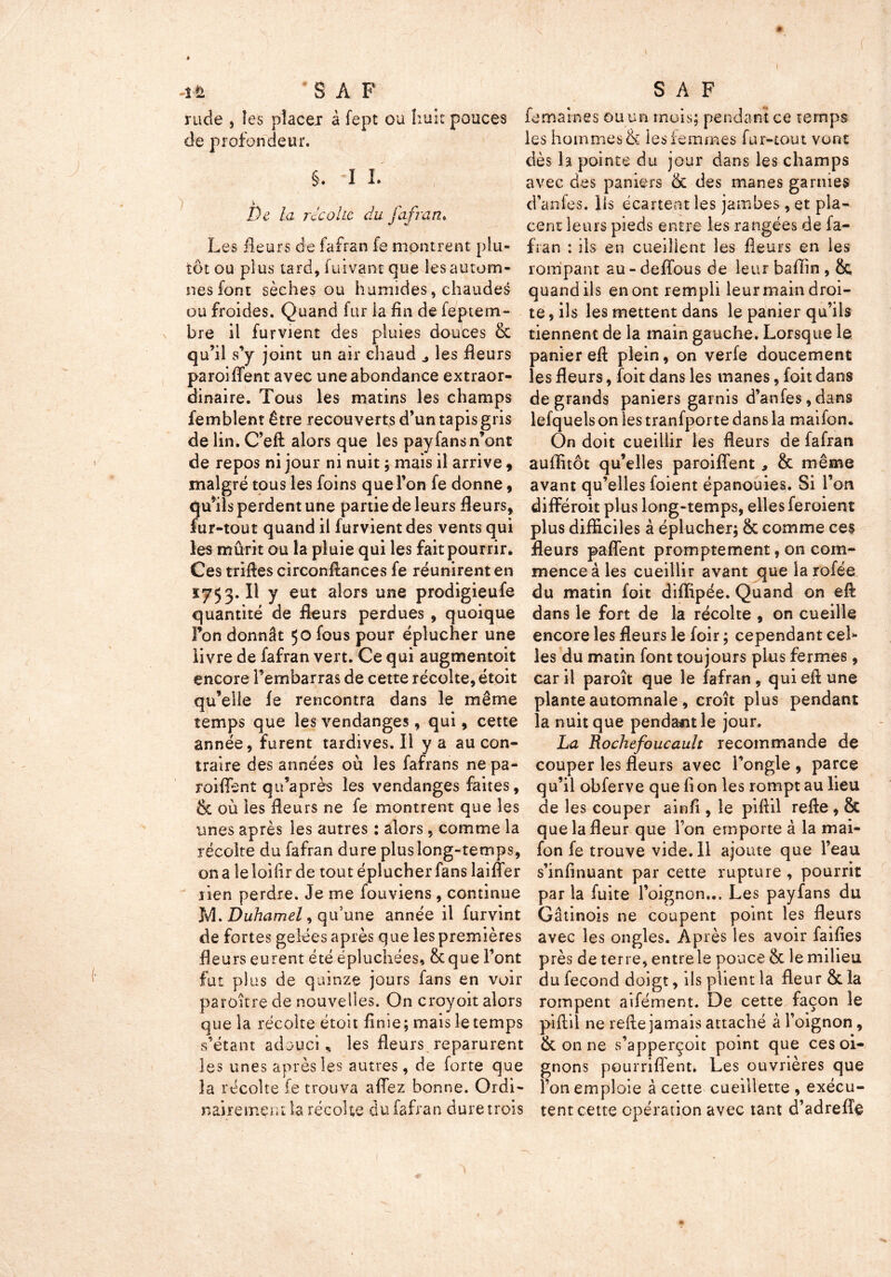 à '  ' . - 1 -16 S A F rude , les placer à fept ou huit pouces de profondeur. §. IL ^ ' ' t De la récolte du jafran. Les fleurs de fafran fe montrent plu- tôt ou plus tard, fuivant que les autom- nes font sèches ou humides, chaudes ou froides. Quand fur ia fin de feptem- bre il furvient des pluies douces & qu’il s’y joint un air chaud les fieurs paroiflent avec une abondance extraor- dinaire. Tous les matins les champs femblent être recouverts d’un tapis gris de lin. C’eft alors que les pay fans n’ont de repos ni jour ni nuit ; mais il arrive 9 malgré tous les foins que l’on fe donne , qu’ils perdent une partie de leurs fleurs, iur-tout quand il furvient des vents qui les mûrit ou la pluie qui les fait pourrir. Ces triftes circonftances fe réunirent en ïy53.Il y eut alors une prodigieufe quantité de fleurs perdues , quoique Ton donnât 50 fous pour éplucher une livre de fafran vert. Ce qui augmentoit encore l’embarras de cette récolte, étoit qu’elle fe rencontra dans le même temps que les vendanges, qui, cette année, furent tardives.il y a au con- traire des années où les fafrans ne pa- roiffent qu’a près les vendanges faites, & où les fleurs ne fe montrent que les unes après les autres : alors , comme la récolte du fafran dure plus long-temps, on a leloifir de tout éplucher fans laiffer tien perdre. Je me fouviens, continue M. Duhamel, qu’une année il furvint de fortes gelées après que les premières fleurs eurent été épluchées, 8c que l’ont fut plus de quinze jours fans en voir paroitre de nouvelles. On croyoit alors que la récolte étoit finie; mais le temps s’étant adouci, les fleurs reparurent les unes après les autres, de forte que la récolte fe trouva aflez bonne. Ordi- nairement îa récohe du fafran dure trois S A F fumâmes ou un mois; pendant ce temps les hommes & les femmes fur-tout vont dès la pointe du jour dans les champs avec des paniers 8c des mânes garnies d’anfes. lis écartent les jambes, et pla- cent leurs pieds entre les rangées de fa- fran : ils en cueillent les fleurs en les rompant au - deflous de leur baffin , 8c quand ils en ont rempli leur main droi- te, ils les mettent dans le panier qu’ils tiennent de la main gauche. Lorsque le panier eft plein, on verfe doucement les fleurs, foit dans les mânes, foit dans de grands paniers garnis d’anfes,dans lefquels on les tranfporte dans la maifon. On doit cueillir les fleurs de fafran auffitôt qu’elles paroiflent , 8c même avant qu’elles foient épanouies. Si l’on différoit plus long-temps, elles feroient plus difficiles à éplucher; 8c comme ces fleurs paflent promptement, on com- mence à les cueillir avant que la rofée du matin foit diflipée. Quand on eft dans le fort de la récolte , on cueille encore les fleurs le foir ; cependant cel- les du matin font toujours plus fermes, car il paroît que le fafran , qui eft une plante automnale, croît plus pendant la nuit que pendant le jour. La Rochefoucault recommande de couper les fleurs avec l’ongle , parce qu’il obferve que fi on les rompt au lieu de les couper ainfi , le piftil refte , 8c que la fleur que l’on emporte à la mai- fon fe trouve vide. Il ajoute que l’eau s’infinuant par cette rupture , pourrit par la fuite l’oignon... Les payfans du Gâtinois ne coupent point les fleurs avec les ongles. Après les avoir faifies près de terre, entre le pouce 8c le milieu du fécond doigt, ils plient la fleur 8c la rompent aifément. De cette façon le piftil ne refte jamais attaché à l’oignon, 8c on ne s’apperçoit point que ces oi- gnons pourriffent. Les ouvrières que l’on emploie à cette cueillette , exécu- tent cette opération avec tant d’adrefle
