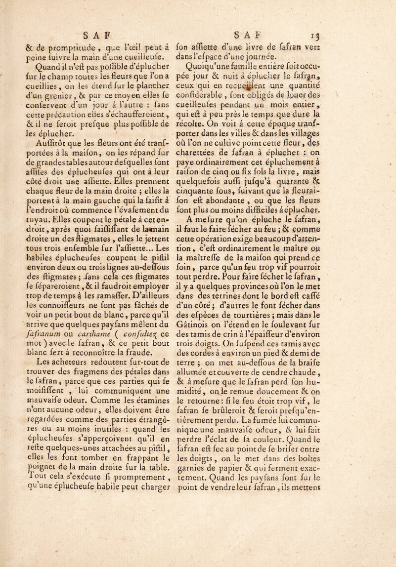 & de promptitude , que l’œil peut à peine iuivre la main d’une cueilleuTe. Quand il n’eA pas poilible d’éplucher fur le champ routes les fleurs que l’on a cueillies, on les étend fur le plancher d’un grenier, Ôc par ce moyen elles fe confervent d’un jour à l’autre : fans cette précaution elles s’échaufferoient, & il ne feroit prefque plus poffible de les éplucher. Auffitôt que les fleurs ont été tranf- portées à la maifon, on les répand fur de grandes tables autour defquelles font affiles des éplucheufes qui ont à leur côté droit une affiette. Elles prennent chaque fleur de la main droite ; elles la portent à la main gauche quilafaifit à l’endroit où commence l’évafementdu tuyau. Elles coupent le pétale à ceten- droit, après quoi faiffiffant de lacnain droite un des Aigmates , elles le jettent tous trois enfemble fur l’affiette... Les habiles éplucheufes coupent le pifiil environ deux ou trois lignes au-defîbus des Aigmates ; fans cela ces Aigmates fe fépareroient, & il faudroit employer trop de temps à les ramaflfer. D’ailleurs les connoifleurs ne font pas fâchés de voir un petit bout de blanc, parce qu’il arrive que quelques payfans mêlent du fafranum ou canhame ( confulte^ ce mot) avec le fafran, Ôc ce petit bout blanc fert à reconnoître la fraude. Les acheteurs redoutent fur-tout de trouver des fragmens des pétales dans le fafran , parce que ces parties qui le moiflflent , lui communiquent une mauvaife odeur. Comme les étamines n’ont aucune odeur, elles doivent être regardées comme des parties étrangè- res ou au moins inutiles : quand les éplucheufes s’apperçoivent qu’il en reAe quelques-unes attachées au piAil, elles les font tomber en frappant le poignet de la main droite fur la table. Tout cela s’exécute fl promptement , fon affiette d’une livre de fafran vert dans î’efpace d’une journée. Quoiqu’une famille entière foit occu- pée jour & nuit à éplucher le fafrgn 9 ceux qui en recueillent une quantité confidérable , font obligés de louer des cueilleufes pendant un mois entier, qui eA à peu près le temps que dure la récolte. On voit â cette époque tranf- porter dans les villes & dans les villages où l’on ne cultive point cette fleur, des charettées de fafran à éplucher : on paye ordinairement cet épluchement à raifon de cinq ou flx fols la livre, mais quelquefois auffi jufqu’à quarante & cinquante fous, fuivant que la fleurai- fon eA abondante , ou que les fleurs font plus ou moins difficiles à éplucher. A mefure qu’on épluche le fafran, il faut le faire fécher au feu ; & comme cette opération exige beaucoup d’atten- tion , c’eA ordinairement le maître ou la maîtreflfe de la maifon qui prend ce foin , parce qu’un feu trop vif pourroit tout perdre. Pour faire fécher le fafran * il y a quelques provinces où l’on le met dans des terrines dont le bord eA caffé d’un côté ; d’autres le font fécher dans des efpèces de tourtières ; mais dâns le Gâtinois on l’étend en le foulevant fur des tamis de crin à l’épaifleur d’environ trois doigts. On fufpend ces tamis avec des cordes à environ un pied & demi de terre ; on met au-deflous de la braife allumée et couverte de cendre chaude , & à mefure que le fafran perd fon hu- midité, on le remue doucement & on le retourne: fi le feu étoic trop vif, le fafran fe brûleroit & feroit prefqu’en- tièrement perdu. La fumée lui commu- nique une mauvaife odeur, & lui fait perdre l’éclat de fa couleur. Quand le fafran eA fec au point de fe brifer entre les doigts, on le met dans des boîtes garnies de papier & qui ferment exac- tement. Quand les payfans font fur le