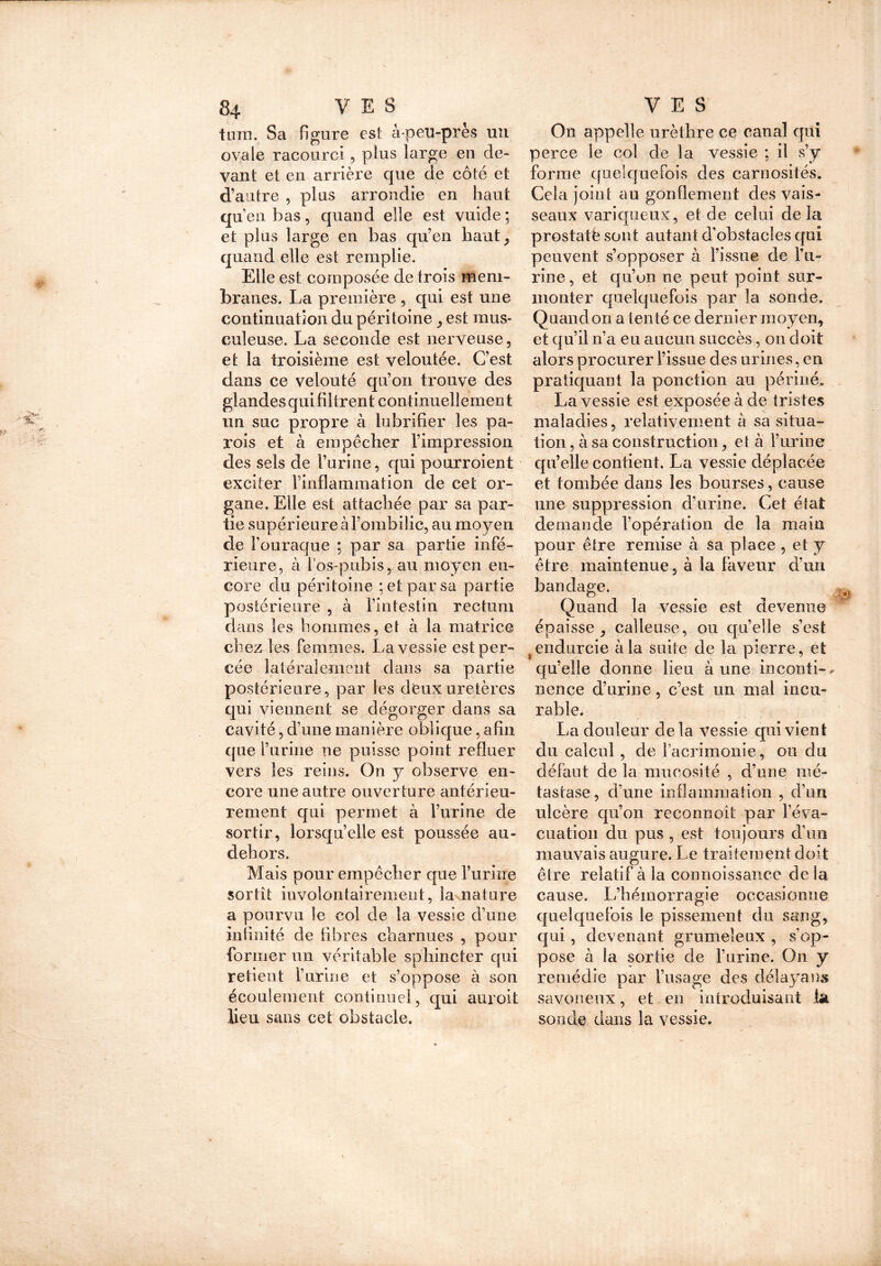 tura. Sa figure est à-peu-près un ovale racourci , plus large en de- vant et en arrière que de côté et d’autre , plus arrondie en haut qu’eu bas, quand elle est vuide; et plus large en bas qu’en haut, quand elle est remplie. Elle est composée de trois mem- branes. La première , qui est une continuation du péritoine , est mus- culeuse. La seconde est nerveuse, et la troisième est veloutée. C’est dans ce velouté qu’on trouve des glandes qui filtrent continuellement un suc propre à lubrifier les pa- rois et à empêcher l’impression des sels de l’urine, qui pourroient exciter rinflainmation de cet or- gane, Elle est attachée par sa par- tie supérieure à l’ombilic, au moyen de l’ouraque ; par sa partie infé- rieure, à l’os-pubis, au moyen en- core du péritoine ; et par sa partie postérieure , à l’intestin rectum dans les hommes, et à la matrice chez les femmes. La vessie est per- cée latéralement dans sa partie postérieure, par les deux uretères qui viennent se dégorger dans sa cavité, d’une manière oblique, afin que l’urine ne puisse point refluer vers les reins. On y observe en- core une autre ouverture antérieu- rement qui permet à l’urine de sortir, lorsqu’elle est poussée au- dehors. Mais pour empêcher que l’urine sortît involontairement, la nature a pourvu le col de la vessie d’une infinité de fibres charnues , pour former un véritable sphincter qui retient l’urine et s’oppose à son écoulement continuel, qui auroit lieu sans cet obstacle. On appelle urèthre ce canal qui perce le col de la vessie ; il s’y forme quelquefois des carnosités. Cela joint au gonflement des vais- seaux varicjueux, et de celui delà prostatè sont autant d’obstacles qui peuvent s’opposer à l’issue de l’u- rine, et qu’on ne peut point sur- monter quelquefois par la sonde. Quand on a tenté ce dernier moyen, et qu’il n’a eu aucun succès, on doit alors procurer l’issue des urines, en pratiquant la ponction au périné. La vessie est exposée à de tristes maladies, relativement à sa situa- tion , à sa construction, et à l’urine qu’elle contient. La vessie déplacée et tombée dans les bourses, cause une suppression d’urine. Cet éfat demande l’opération de la main pour être remise à sa place , et y être maintenue, à la faveur d’un bandage. Quand la vessie est devenue épaisse, calleuse, ou quelle s’est t endurcie à la suite de la pierre, et qu’elle donne lieu aune inconti-, nence d’urine, c’est un mal incu- rable. La douleur delà vessie qui vient du calcul, de facrimonie, ou du défaut de la mucosité , d’une mé- tastase, d’une inflammation , d’un ulcère qu’on reconnoît par l’éva- cuation du pus , est toujours d’un mauvais augure. Le traitement doit être relatif à la connoissance de la cause. L’hémorragie occasionne quelquefois le pissement du sang, qui, devenant grumeleux , s’op- pose à la sortie de l’urine. On y remédie par l’usage des délaya ns savonenx, et en introduisant la sonde dans la vessie.