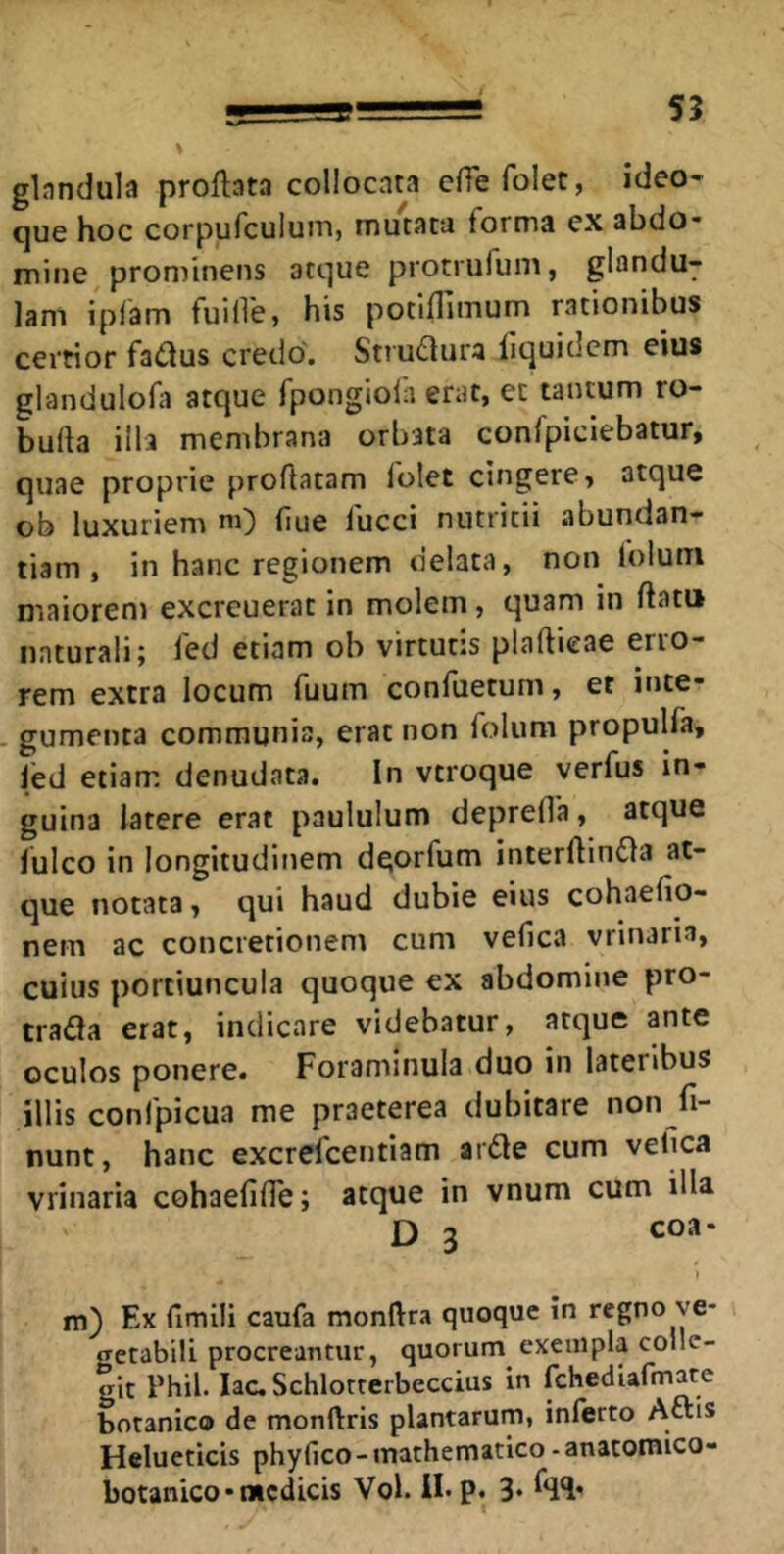 55 glnndula proftata collocata effe folet, ideo* que hoc corpufculum, nautata forma ex abdo* mine prominens atque protrufuni, glandu- lam ipfam fuiiie, his potiflimum rationibus certior fa(ilus credo. Strudlura liquidcm eius glandulofa atque fpongiola erat, et tantum ro- bufta illa membrana orbata confpiciebatur, quae proprie proflatam folet cingere, atque ob luxuriem m) flue fucci nutritii abundan- tiam, in hanc regionem delata, non folum maiorem exercuerat in molem, quam in flatu naturali; fed etiam oh virtutis plaflieae erro- rem extra locum fuum confuetum, et inte- . gumenta communia, erat non folum propulfa, ied etiam denudata. In vtroque verfus in- guina latere erat paululum deprefla, atque fulco in longitudinem deorfum interftin£la at- que notata, qui haud dubie eius cohaefio- nem ac concretionem cum vefica vrinaria, cuius portiuncula quoque ex abdomine pro- trada erat, indicare videbatur, atque ante oculos ponere. Foraminula duo in lateribus illis confpicua me praeterea dubitare non fi- nunt, hanc excrefeentiam arde cum vefica vrinaria cohaefifTe; atque in vnum cum illa D 3 coa- } m) Ex fimlli caufa monftra quoque in regno ve- getabili procreantur, quorum exempla colle- git Phil. lac. Schlorterbeccius in fchediafmare botanico de monftris plantarum, inferto Actis Hclueticis phyfico - mathematico - anatomico- botanico* medicis Vol. II- p. 3» ^4*1*
