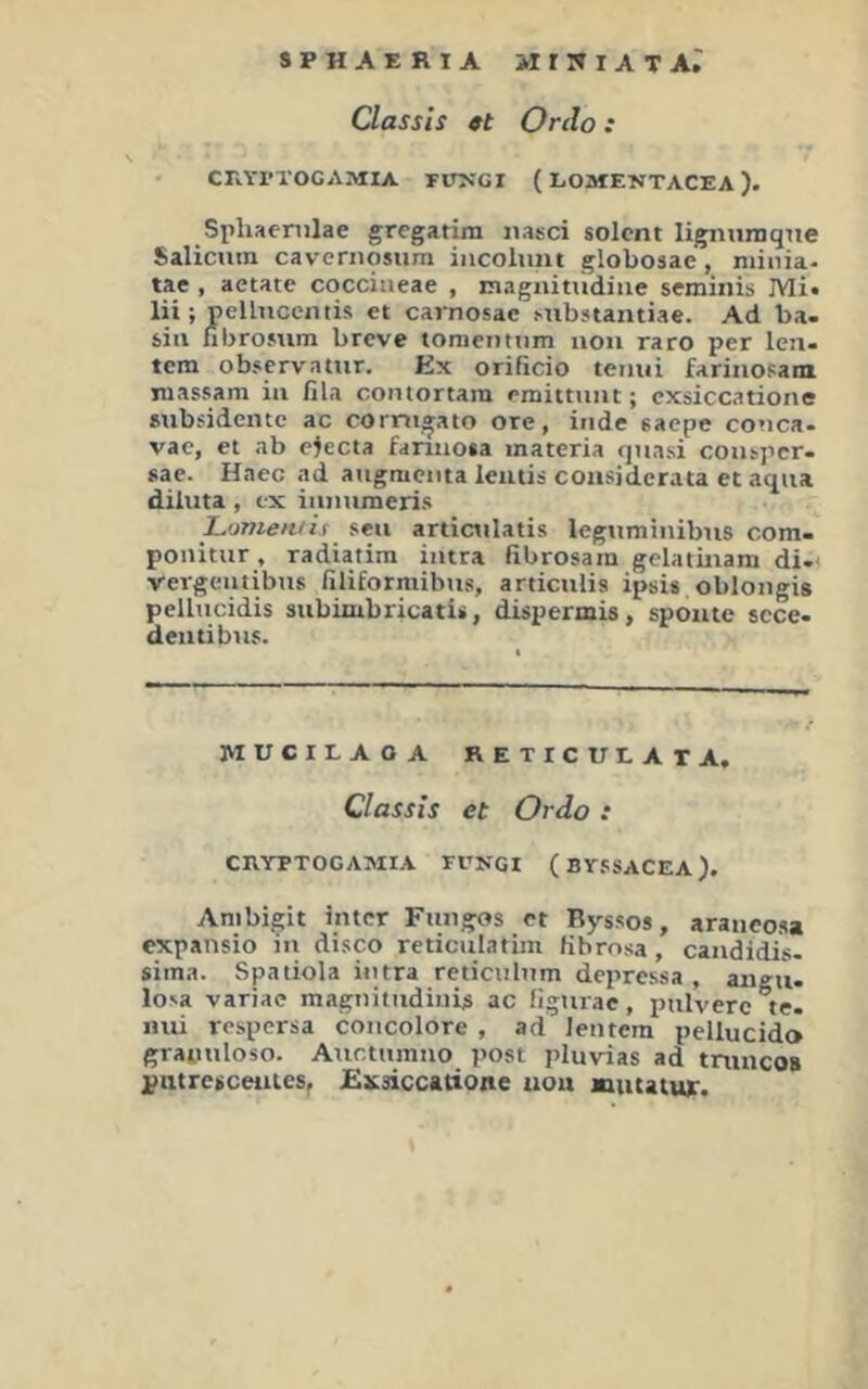 SPHAERIA irirWiATAr Classls 9t Ordo: CrATTOCAMlA FITKGI (LOIWENTACEA). Sphaerulae gregatim nasci solcnt ligniiniqiie Salicum cavernqsum iiicoliint globosac, niinia. tae , aetate cocciaeae , magnitudiae seminis Mi« lii; jpellncentis et carnosac Mibstantiae. Ad ba. sin fibrosum breve tomenttim uou raro per len- tem observamr. Ex orificio teaui farinosam niassam in lila comortam enjittuiu; cxsiccatione »iibfidente ac cornigato ore, inde saepe conca. vae, et ab eiecta fannota inateria quasi cousper- *ae. Haec ad augmeiita lentis cousiderata et aqua diluta , ex iiinumeris Lomentis seit articulatis leguminibns com- ponitur, radiatiin imra fibrosain gelatinam di. vergeutibus filiformibtis, articulis ipsi» oblongig pellucidis siibimbricatii, dispermis, spontc scce. dentibus. MUCrrAOA REXrCUEATA. Classis et Ordo : CRYPTOGAMIA FUNGI (BFSSACEA). Anibigit intcr Fungos et Hyssos, arancosa cxpansio in disco reticulatim fibrnsa, candidis- sima. Spatiola intra reticubim depressa , angü. losa variae maguitudinU ac figurac, pulvere te. nui respersa coucolore , ad lentem pellucid3 granuloso. Auctumno post pluvias ad tninco» patresceiitesr Eitsiccanone uou muatur.