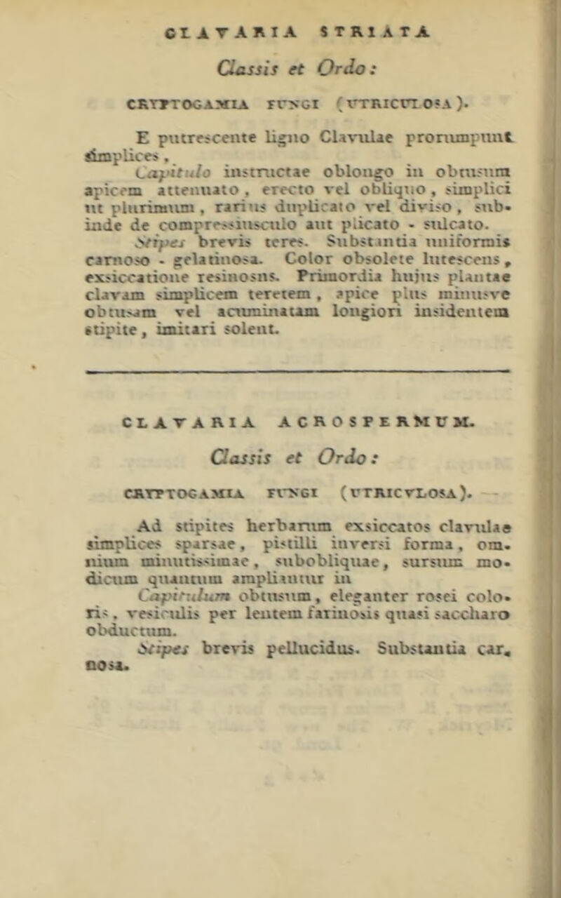 CIATARIA STRIATA Classis et Ordo: crtttocaxia rr>'Gi (\TRicno«A)- E pmrfscente ligiio Cla-s'ulac pronimpiint Simplicr:>, Caffitulo instructae oblougo in obrnjurn apicom attfnuato , erccto a-ei obliqno , simplici «t pluriiutun , rariiw duplicato a-el diviso , sub* indc de comprr>»iiuctilo aiit piicato - siücato. iitiftet brevi$ tere$. Snbstanda nnifornii* camoso • {telarinosa. Color obsolete lutescens , exsiccatioiie resiBOsns. Primordia huiiis plaiitae clarain simplicem teretem, apice plus miinisve obtusam vel atntminatam lou§ion insidentem •tipite, imitari soleut. CLATARIA ACROSPERMUM- Qassis et Ordo t CaTTTOCAJCIA. FtTtGI (rTRICrLOSA). Ad sripites herbantm exsiccatos clanila« simplices sparsae, pistilli inrersi forma, om. nitun minutissimae, subobliqiue, sursnm mo- diciun quannim ampliauiiu in Capirulum obttunm, eleganter rosei colo. Ti'. vesiculis per leutem fariuösit quasi saccluro obducttun. Ütipes breris pellucidus. Substautia car. oosa.