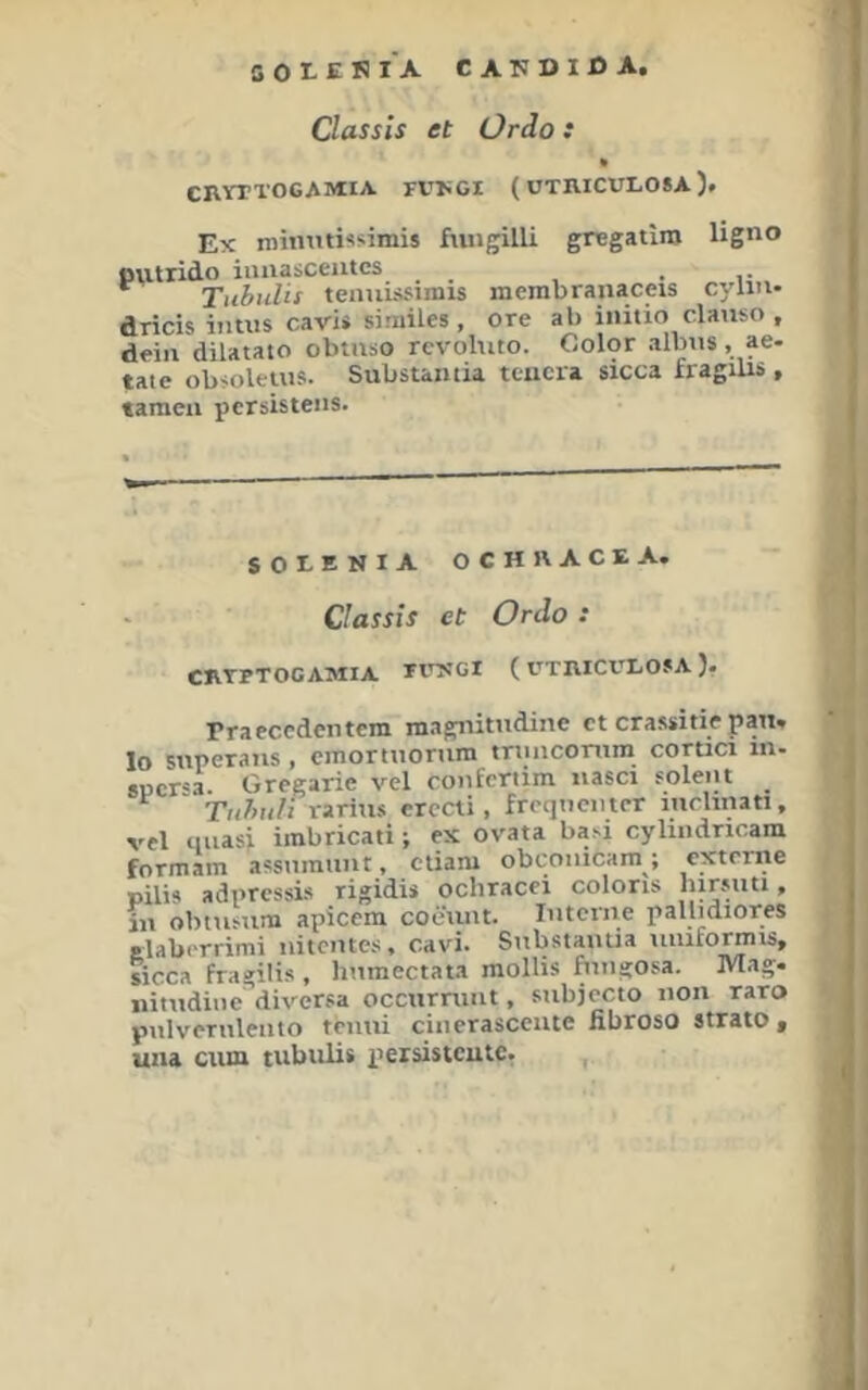 GOtESl'A CAKDIÖA. Classis et Ürdo: CRVTTOCAMIA FV>GI (UTRICULOSA). Ex niintitissimis fiuifplli gregatiro ligno putrido iuiiasceiitcs . Tubulis teauL-isums merabranac«s cylin. dricis iimis cavis similes , ore ab initio clanso , dein dilatato obtuso revohuo. Oolor albus , ae- tatc ob^olctus* Substaatia tcucia sicca xragilis ^ tarnen pcrsistens. SOtENIA OCHRACEA. Classis et Ordo : CRTPTOCAMIA tVTSOI (UTIVICCXOSA). rraecedentem magnitudiue et crassitie pan» lo stiperans , emortuorum truncomm cortici in- 8Pcr=a. Gregarie vel confertim iiasci soleiit Tubuli rarius erccti, frcqtiemcr inchnati, vel quasi imbricati; ex ovata basi cylindricam formam assumuut, ctiam obconicam; externe pilis adpressis rigidis ochracei coloris hirsuti ^ in obtusum apicem coetutt. lutcrne pallidiores tlaberrimi nitcntes, cavi. Substautia uniformis, sicca fragilis, humectata mollis ftuigosa. Mag» nitudine^diversa occnrruut, subjccto non raro pulveruleiito tcuui einerascente libroso Strato, una ciim tubulis xieisistcutc. ,
