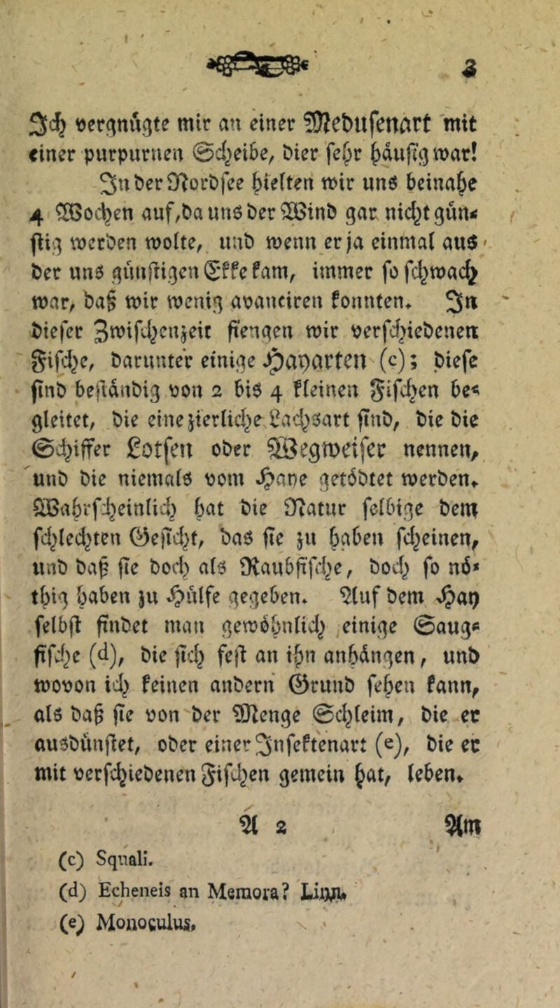 Sc^ ^jerf^nugte mir an einer ?5)Jet)ufenart mit einer purpurnen 0c{^ei6e, t)ier fe§r {)duf(g war! ^uberD^orPfee |>ie(ten wir unö beinahe 4 ^oc^en auf^baunöber^iöinb gar nid^tgun« flig werben weite, unb wenn er ja einmal aus* ber unö gunfrigen ^*ffe fam, immer fe fd^wac^ war, ba§ wir wenig aeanciren fonnten» biefer Bmifd^enjeic ft'engen wir Perfd^iebeneit gifd^e, barunter einige J^apartcn (c); biefc finb beflanbig tion 2 biö 4 fleinen ^ifd^en be< gleitet, bie eine jierlid^e i^ad^öart ftnb, bie bie 0d^iffer ober ^egiDCifcc nenneu/ unb bie niemalö Pom ^ane getdbtet werben,. Qiöabrfi^einlid} bat bie Sfiatur felbige bem fd^Ied^ten öejid^t, baö fie 511 bgben fd^einen, unb ba§ fee boeb alö iKaub^f('br, bod() fo nö* tbig haben ju «^ulfe gegeben» ^(uf bem ^ap felbfi ftnbet man gewdbnlid^ einige 0aug« ftfd)e (d), bie flcb fej'i an i^n anbdngen, unb wopon id^ feinen anbern 0runb febeu fann, olö ba§ fie pon ber ?IJtcnge ©d^Ieim, bie ec ttuöbünfiet, ober einer ^nfeftenart (e), bie ec mit pcrfcbiebenen gemein i^(xXf leben» \ (c) Sqnall. (d) Echeneis an Meraora? Lijijft. (e) Mouoculus. N ‘