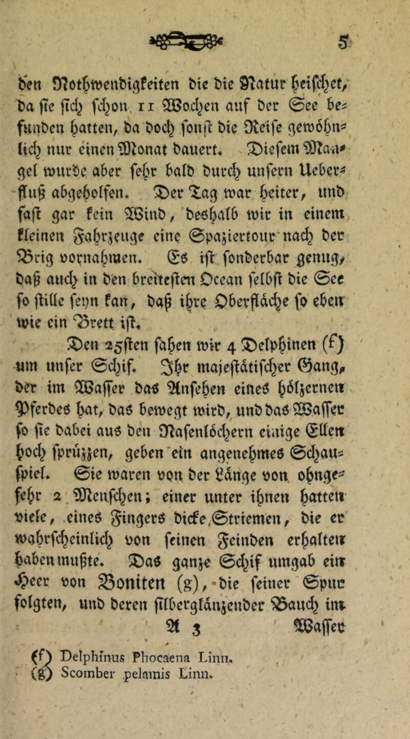 ben fHot^wenbigfeiten ^te Me Statur Jetfd^ev t)a jte ftd^ fd^ou, n ?ö5od^cn auf Öcr 0ee bes funben Ratten, ba t>od^ foitjl t)ic Steife i^etuof^ns* lid^ nur einen ?0tonat bauert* X)tefemS}taa* ßel tt)ur'oe aber fe{)r halb burd} unfern Ueber=* f[u§ abqebolfen* ^er Xag tuar ^iter, unb fafl gar fein ^OBinb, beö^alb ivir in einem ficinen ^abrjeuge eine ©pajiertour'nad^ bec ^rig üoena^men* (Sö ifi fonberbar genug/ ba§ aud^ in ben breheflen Ocean felbft bic 0ec fo jlitte fepn fan, baf i^re Oberpdd^e fo ebeir Wie ein ^rett iff* ^en 25jlen fa^en wir 4 ®elp^inew (f) um unfer 0d^if* majeffdtifef^er ®ang^ ber im CiBaffer boö ^nfeben eineö {jdtjerneit ^ferbeö baö bewegt wirb,^ unb baö ?ßBaffec fo ge babei au6 ben Stafenidd^ern einige iStteit t>od^ fprujjen, geben 'ein angenehmes 0d^aus fpief. 0ie waren von ber i^dnge von. ohnge^ fehr 2. ?Oteiifd^cn; einer unter ihnen Ratten viele, eines Ringers bi(fe<0triemen, bie ec wahrfcheinlid} von feinen geinben erhalten haben mufte* 'Das ganje 0d^if umgab ein , J&eer von ^onttett (g),*bie feiner 0puc folgten, unb beren gibergtdnjcnbec ^aud^ im- ^KJajfev Delphmus Phocaena Lina. Scomber pelamis Lina.