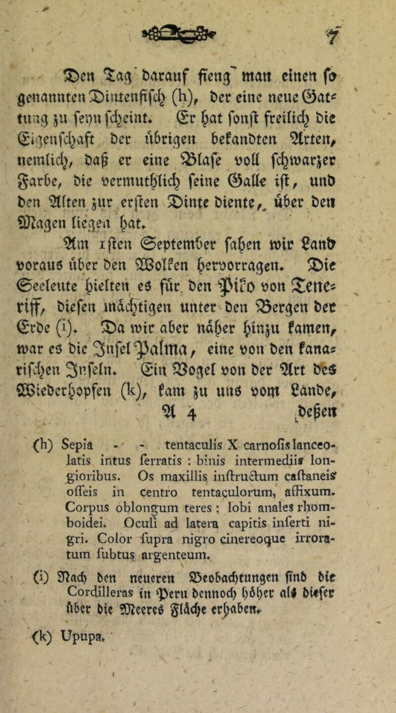 ^ett ^aj^'barauf fien3''mait eilten genanntcnX)iiüenfi'fd^ (h), t)er eine neue 0at'^ tun^ ju fei)n fdjeint* (Sr ^at fonj^ freilid^ t)ie (Sif]enfd}aft t)er übrif^en befanöten ^rten, nemüd^, er eine ^tafe voU fc^warjec ^arbe, &ie üermutbti»^ feine ©alle ifi, unö ben Eliten jur erflen ^inte biente,, über ben SJiagen liegen |)at» iften September faben mir 2an& voraus über ben Rolfen b^^morragen. 3)ie Seeleute hielten eS für. ben von ^ct\C^ rijf, biefen mdd;tigen unter ben bergen bec ©rbe (i)* mir aber ndber biuju famen,. mar eö bie fams rifd^en Unfein» ^in ?3Joge( von ber ^rt b‘e5 SÖJieberbopfen (k), fam ju uns vom ß^inbe. ^be^eti ^ 4 (h) Sepia -' - tentaculis X carnofis lanceo- latis intus ferratis : binis intermedjia lon- gioribus. Os maxillis inftructum caftaneisf ofleis in centro tentaculorum,' affixum. Corpus oblongum teres: lobi anales rhom- boidei. Oculi ad latera capitis inferti ni- gri. Color fupra nigro cinereoque irrora- tum fubtus argenteum. (i) SHacb ben neueren SSeobaebtungen finb ble Cordilleras tu ‘Peru bennod) ()6l)er aU bitfer ö6er bie ?!}JeereS §(dd)e ergaben*. (k) Upupa,