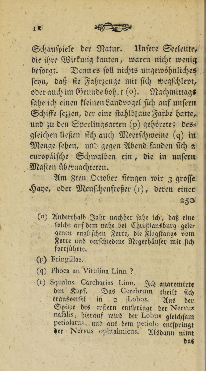 0c(}aitfptcfe ber Ü^atur* Unferc Scckute^- ' bic ihre fautcn, waren nid)t wenig i befor^t* X>enneS foü nid^tö un.i^ew^^nlic^ef i fet}n, ba^ fte ^^abrjcu.cje mit ftd^ A)egfc^fept^ oberaud>im 0ruubebob-t (o)» 3f?ac^mittag< i fabe Td> einen ficinen i?anbü0(^cl jid> auf unfecit i @d^iife frijett, bcr eine ftabiblaue^^rbe ^attc^ unb 5U ben 0pcdin^öarten (p) (^ebörcte; beßs gleid^en licken |Td} atid^ 'u)?eerfd^weine (q) iit : ^len^e feben, uUb qeqen “iHbcnb fanben fld^ 2 1 curop4ifd>e @d^watben ein , bie in unfern 1 SJIaflen ubernad^teteu* 9lm 8ten October ftenqcn wir 3 groffc i ^ape, ober ?Oi:cnfd>enfreper (r), beten einer . ' 25^ I (o) 3(nbcrtba(6 nac{)f}cr fabc teb/ eine 1 foicbc fluf bem n<jbe bet €bfi(iian#burg gele? 1 geucn engfifeben ^orte, bic gbigftange vom | ?oi’te unb vci’fcbicbenc ü^cgerbiufci' mit ficb I foi-tj'iibrtc, (p) Fringillae. ' (q) riioca an Vitulina Llnn ? (r) Squalus Caicliarias Linn. ^icb niliUomirte ben Äopf. Ccrebrutn tbeilt fiep tran^vcrfcl in 2 iLobos. :i(ng {»er i 0pi,pc bcij erfrern entfpringt bei* Nervus nafalis, biernuf u'irb bcr Lobus gieicbffltn petiolatus, unb auß bcni petiolo entfpringt ^cr Nervus ophtalmicus. :}((öbann nimt Pa«