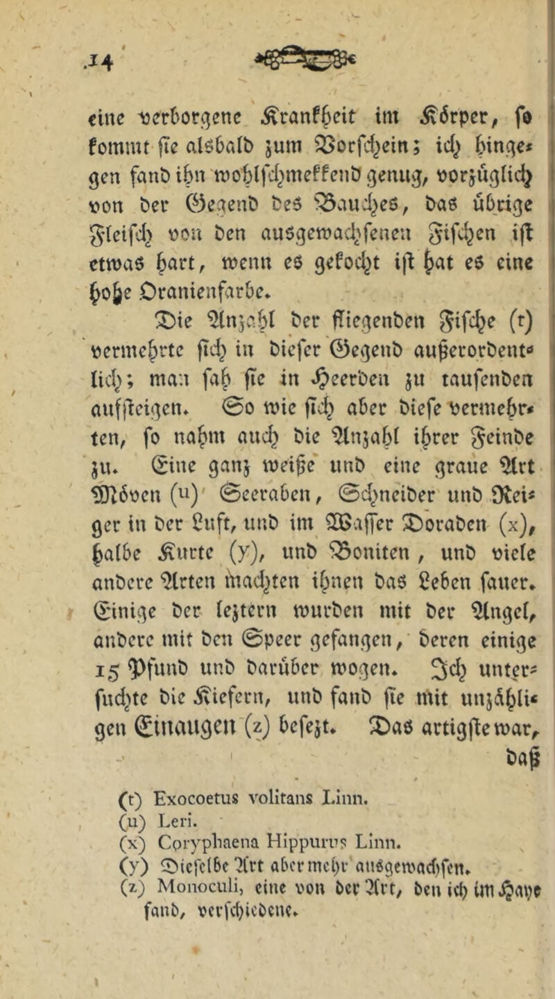 fommt |Te alöbaib jum SSorfi^ein; idj i qen fanb ibn njotlfcl^meffcnö genug, vorjuglidj t von bei* 0eqenb beö ^^aui^eö, baö übrige i ^•teifcl} von ben au5gett)ad>fencn ^ifc^en ijt I ettvaö ^art, tvenn cö gefod^t i\t eö eine i ^o§e Oranienfarbc. ^ie ^Injobl ber fTtcgenbcn ^ifc^e (r) : vermehrte ftd} in biefer 0egenb au^euorbent«» i lid^; man fa^ fic in beerben ju taufenben aufjlcigen» 0o tvic flc^ aber biefe vermehr« ten, fo na&m auc^ bie ^ijabi ifjrer ^einbe jiu Sine ganj mei§e‘ unb eine graue ^vt ^6ven (u)' ©eeraben, ©d^neiber unb iXei« i ger in ber iJuft, unb im 2ßaffer I^Doraben (x), ^albe flirte (y), unb Moniten , unb viele anberc “Wirten iuad^ten ifpnen ba6 2eben fauer* (Innige ber iejtern würben mit ber 5lngei, aubere mit ben ©peer gefangen, beren einige 15 9^funb unb barüber wogen* ^d^ untere fud>te bie liefern, unb fanb fie mit unjd^li« gen ©tuaugClt (z) befejt* X)aö artigfie war,. bag ' t (t) Exocoetus volltans Linn. (u) Leri. (x) Cprypliaena Hippuru? Linn. (y) 5>iclclbc'21‘rt abcrmci)i- au«gewac()fcn* (z) Monoculi, eine von 0er 3(rt, Oen itb im fanb/ vcrfcbicbcne*