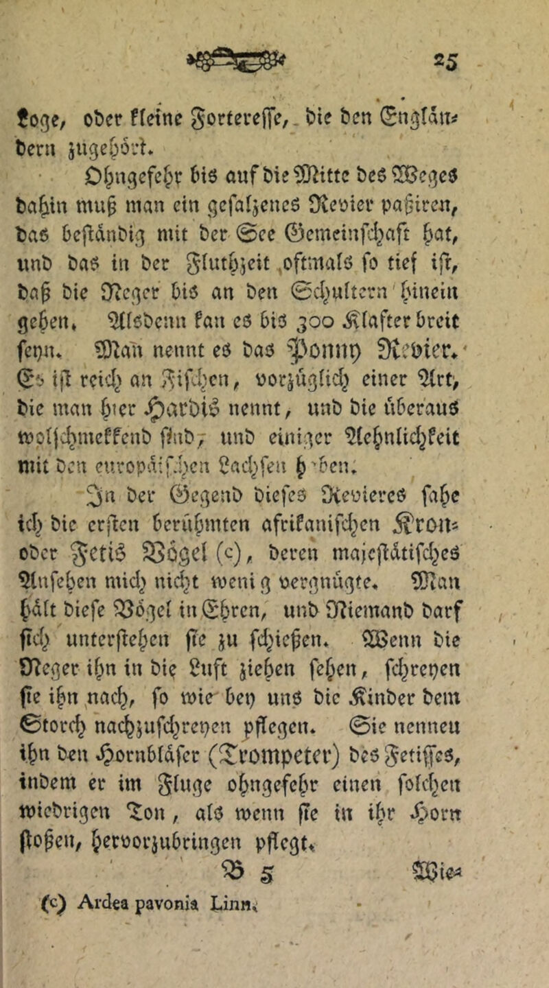 ^ ' * * foge, o^cr fletne ^orterejTc,. bte bcn (Sn^Idn^ t)eru juge&ovh O&ngefclpr 6iö auf bie ?02itte bc6 ba&iu mu§ man ein gcfaijcncö fReüicü pa^iren, baß Ocfldnbij] mit ber <Bce ©cmcinfcl^aft unb baß in ber >oftmalö fo tief ifr, ba^ bie Oiej^cr biß an ben 0cIjuitcrn' bineiii geben* ^Ißbcnn fau cß biß 300 ^iafter breit fepn* ?0^a'n nennt eß baß ^^^onl1l) * ijl rci<4> an /^if-ben, porjuglic^ einer ^rt> bie man ^ler J^atbi^ nennt, unb bie überauß mpifcbmeffenb finb; unb einiger ^(ebnlid^feit mit bctt europdif.pcn 2acl)fen b^bciu 2in ber ©egenb biefeß Dveüiercß fa^e ici) bie erften berühmten afrifanifeben ober §cti^ SSogcl (c), beren maic|ldtifcbeß ^Infeben mid^ nidjt meni g \)ergnugte* ?0ian bd(t biefe ^ogei in ©bren, unb D?iemanb barf fid^ unterfteben |Te ju fd^ie^en* ?[8enn bie OTeger iipn in bie Stift Sieben feben, fd^repen f e ibn ^nacb, fo wie bet) unß bie ^inber bein 0torcb naebsufd^repen pflegen* ©ie nennen tbn ben .^ornbldfer (^^l’OlltpCtCP) beß ^etiffeß, tnbem er im 3lii3^ obii3<^f<^bi^ eilten fokben miebrigen 2on, alß menn fle in ibr .^^ortt (lopen, b^ti^örjubringen pflegt* (c^ Ardea pavonia Linn*