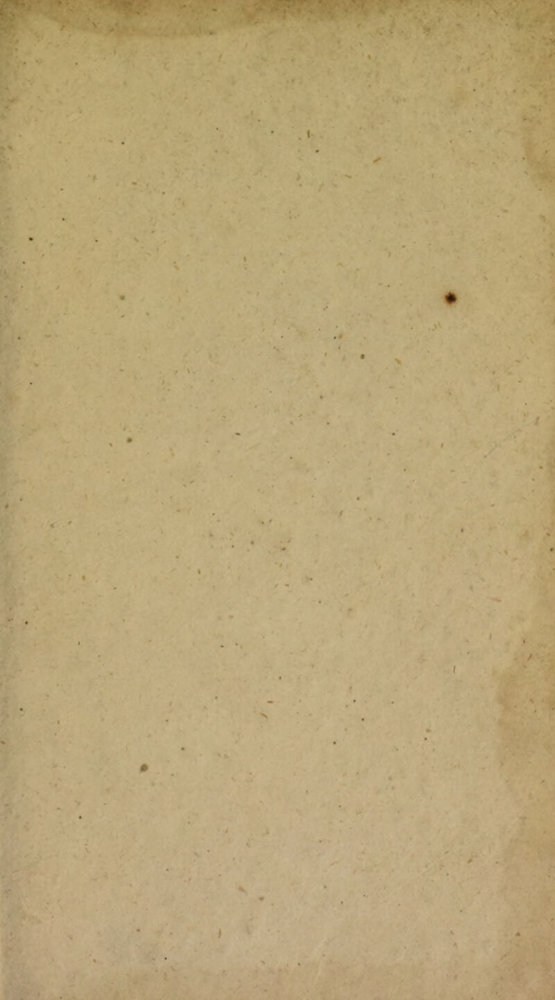 - ..-4- ' iX l ^ -.nKp < o \ . / w^.~