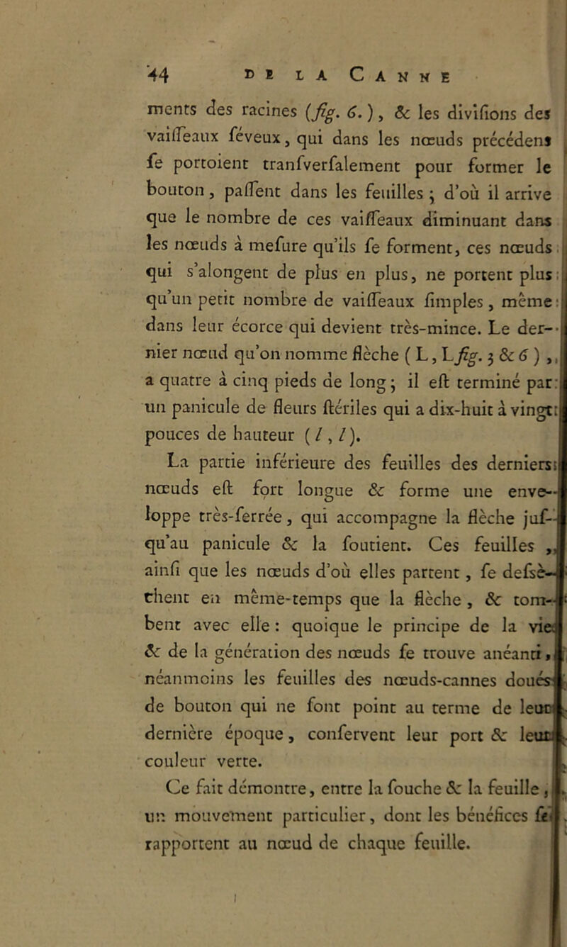 ments des racines {fig. ô.) ^ Ôc les divlfions des , vailTeaux feveux, qui dans les nœuds précédens 1 fe portoient tranfverfalement pour former le bouton, paflent dans les feuilles j d’où il arrive que le nombre de ces vaifTeaux diminuant dans les nœuds à mefure qu’ils fe forment, ces nœuds.:, qui s’alongent de plus en plus, ne portent plus: qu un petit nombre de vailTeaux fimples, même; dans leur écorce qui devient très-mince. Le der-- nier nœud qu’on nomme flèche ( L, Lfig. 3 & (î ) ,, a quatre à cinq pieds de long j il eft terminé par: un panicule de fleurs ftériles qui a dix-huit à vingtt pouces de hauteur (/,/). La partie inférieure des feuilles des dernierss nœuds eft fort longue & forme une enve- loppe très-ferrée, qui accompagne la flèche jus- qu’au panicule & la foutient. Ces feuilles „ ainfi que les nœuds d’où elles partent, fe defsè- ciient en même-temps que la flèche , & tom- bent avec elle : quoique le principe de la vi© de la génération des nœuds fe trouve anéanti t néanmoins les feuilles des nœuds-cannes doués de bouton qui ne font point au terme de leoo dernière époque, confervent leur port & leuc couleur verte. Ce fait démontre, entre la fouche la feuille, un mouvement particulier, dont les bénéflces Sij rapportent au nœud de chaque feuille.