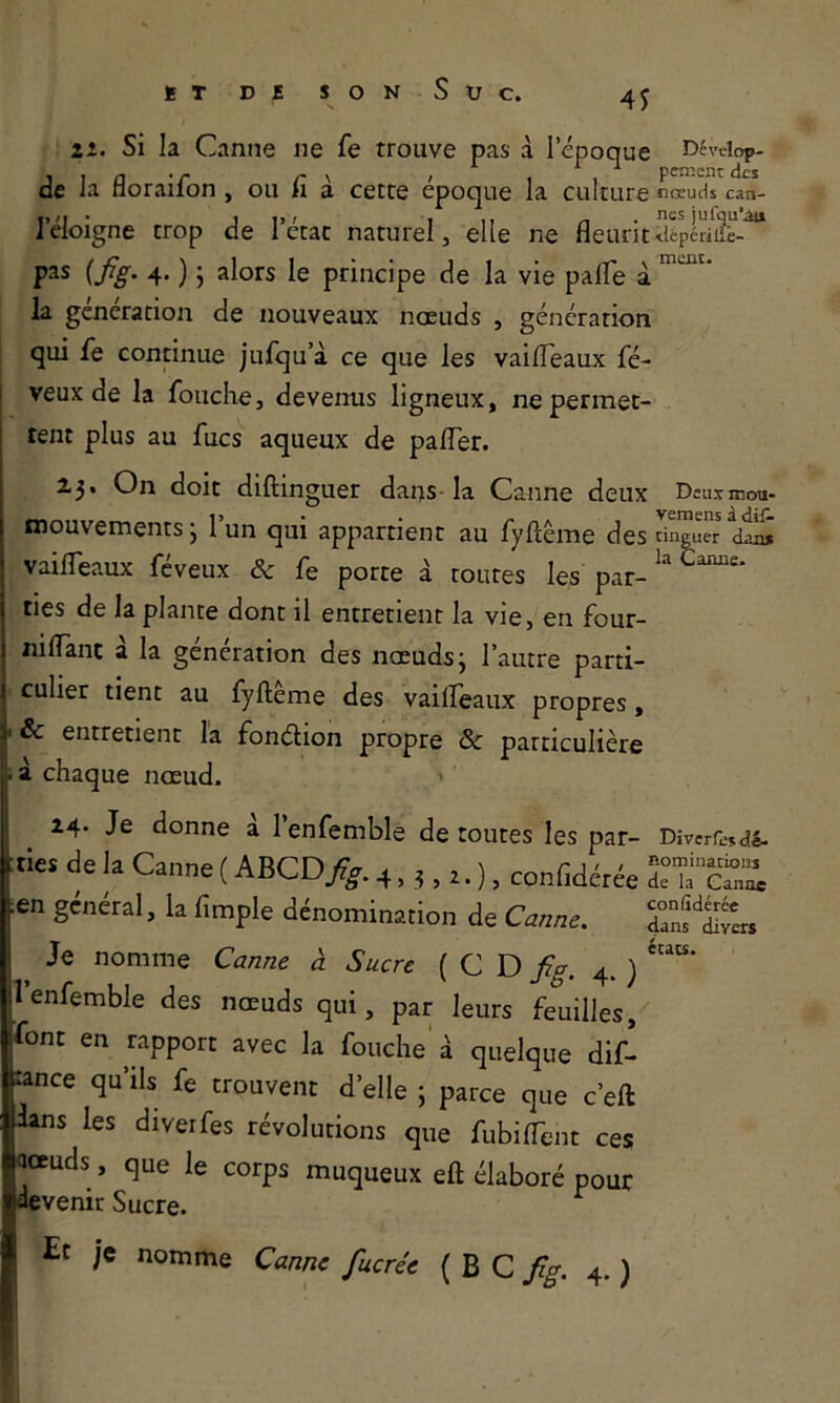 ON Su Zi. Si la Canne ne fe trouve pas à l’époque Dévelop- pe la floraifon , ou fi à cette époque la culture nœuds'^can- u M • 1 i> / 1 II ^ . nés jufqu'ai» 1 éloigné trop de 1 état naturel, elle ne fleurit^lépérià- pas (Jig. 4. ) • alors le principe de la vie palfe à la génération de nouveaux nœuds , génération qui fie continue jufqu’à ce que les vaifleaux fé- veux de la fouche, devenus ligneux, ne permet- tent plus au fucs aqueux de palTer. 23. On doit diftinguer dans- la Canne deux Dcus mon mouvements j l’un qui appartient au fyftême des Suer dÏÏ vailTeaux féveux & fe porte à toutes les par- ties de la plante dont il entretient la vie, en four- niflant à la génération des nœuds; l’autre parti- culier tient au fylleme des vailFeaux propres, & entretient la fonélion propre Sc particulière i à chaque nœud. 24. Je donne à l’enfemble de toutes les par- Diverfe^dé- ‘tiei de la Canne ( ABCD/^. 4, conCdétée en général, la limple dénomination de Cnn/re. Je nomme Can/ze à Sucre ( C D 4. ) lenfemble des nœuds qui, par leurs feuilles, font en apport avec la fouche' à quelque dif- rance qu’ils fe trouvent d’elle ; parce que c’eft dans les diveifes révolutions que fubilTent ces aocuds, que le corps muqueux eft élaboré pour devenir Sucre. ^ Et je nomme Canne fucrée ( B C 4. )