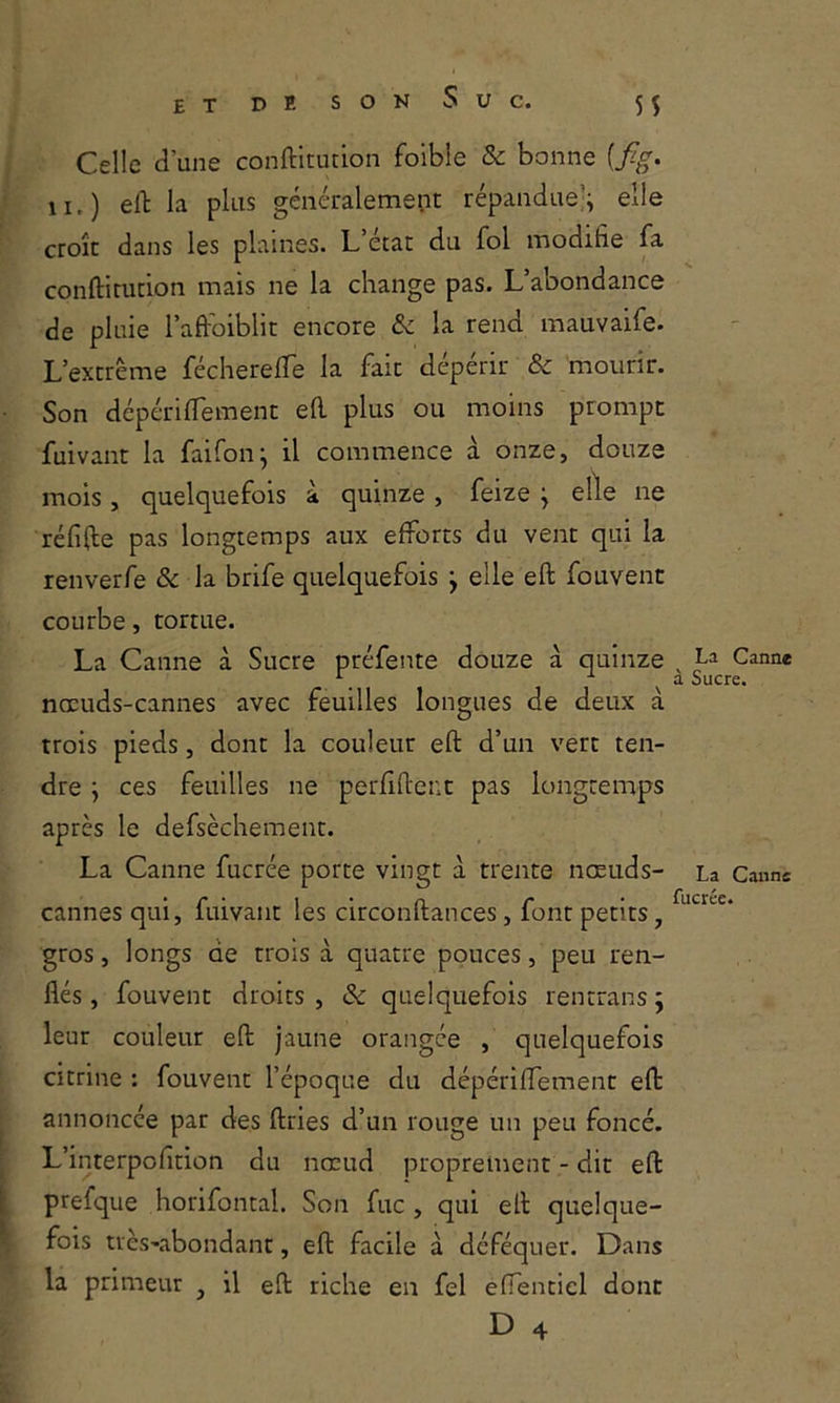 Celle d’une conftitudon foible & bonne [fig. II.) elt la plus généralement répandue’; elle croît dans les plaines. L état du fol modifie fa conftinition mais ne la change pas. L’abondance de pluie l’aftbiblit encore & la rend mauvaife. L’extrême fécherefife la fait dépérir & mourir. Son dépérilTement efl. plus ou moins prompt fuivant la faifon; il commence à onze, douze mois, quelquefois a quinze , feize ; elle ne réfifie pas longtemps aux efforts du vent qui la renverfe & la brife quelquefois ; elle eft fouvent courbe, tortue. La Canne à Sucre préfente douze à quinze nceuds-cannes avec feuilles longues de deux à trois pieds, dont la couleur eft d’un vert ten- dre ; ces feuilles ne perfiftenc pas longtemps après le defsèchement. La Canne fucrée porte vingt à trente nœuds- cannes qui, fuivant les circonftances, font petits, gros, longs de trois à quatre pouces, peu ren- flés , fouvent droits , & quelquefois rentrans ; leur couleur eft jaune orangée , quelquefois citrine : fouvent l’époque du dépériffement eft annoncée par des ftries d’un rouge un peu foncé. L’mterpofition du nœud proprement - dit eft prefque horifontal. Son fuc , qui eft quelque- fois très-abondant, eft facile à déféquer. Dans la primeur ^ il eft riche en fel eflentiel dont D 4 La Canne à Sucre. La Canne fucrée.