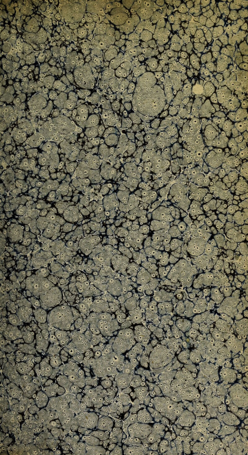 P • - J X. i v v C-,