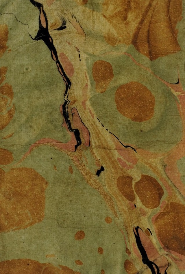 digitised image 2