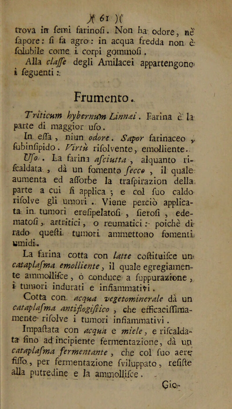 trova irr Temi farinofi. Non ha odore, ne fapore: fi fa agro : in acqua fredda non è folubile come i corpi gommofi . Alla elafe degli Amilacei appartengono’ i feguenti Frumento.. Tritieniti hybermùn Lìnnai. Farina è; la parte di maggior ufo. In eifa , niun odore. Saper farinaceo fubinfipido. F'irtu rifolvente, emolliente.. Ufo . La farina afriatta , alquanto ri- baldata , dà un fomento fece» , il quale aumenta ed afiorbe la trafpirazion della parte a cui fi applica -, e col fuo caldo rifolve gli umori .. Viene perciò applica- ta. in. tumori erefipelatofi , fierofi , ede- matosi artritici, o reumatici poiché di rado quelli tumori ammettono fomenti: umidi.. La farina cotta con latte coftituifce un> cataplafma emolliente, il quale egregiamen- te ammollisce, ó conduce a fuppurazione , i tumori indurati e infiammatiti. Cotta con. acqua vegetominerale dà un cataplafma antißogißico , che efficaciffiraa- mente- rifolve i tumori infiammativi. Impattata con acquìi e miele, e ribalda- ta fino ad incipiente fermentazione, dà un cataplafma fermentante , che col fuo aere fitto., per fermentazione fviluppato, refifte alla putredine e la amuiollifce. Gio